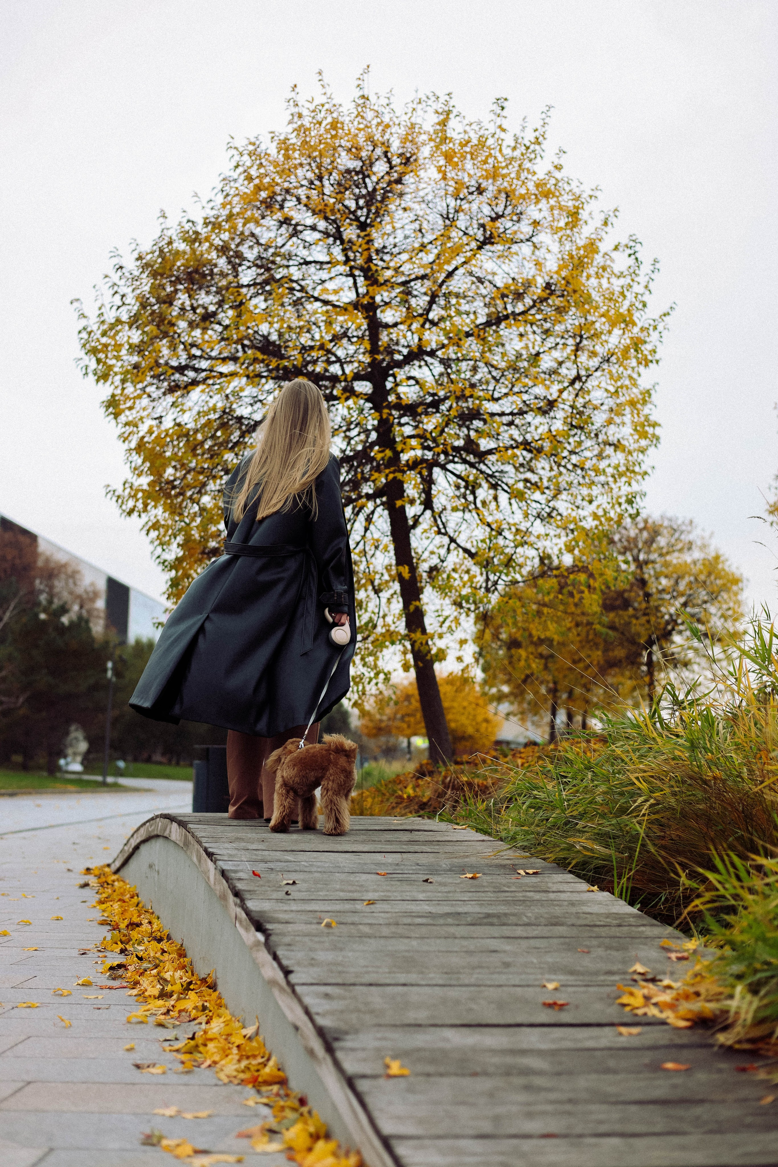 Кира. Фотограф в Москве Анастасия Калинина