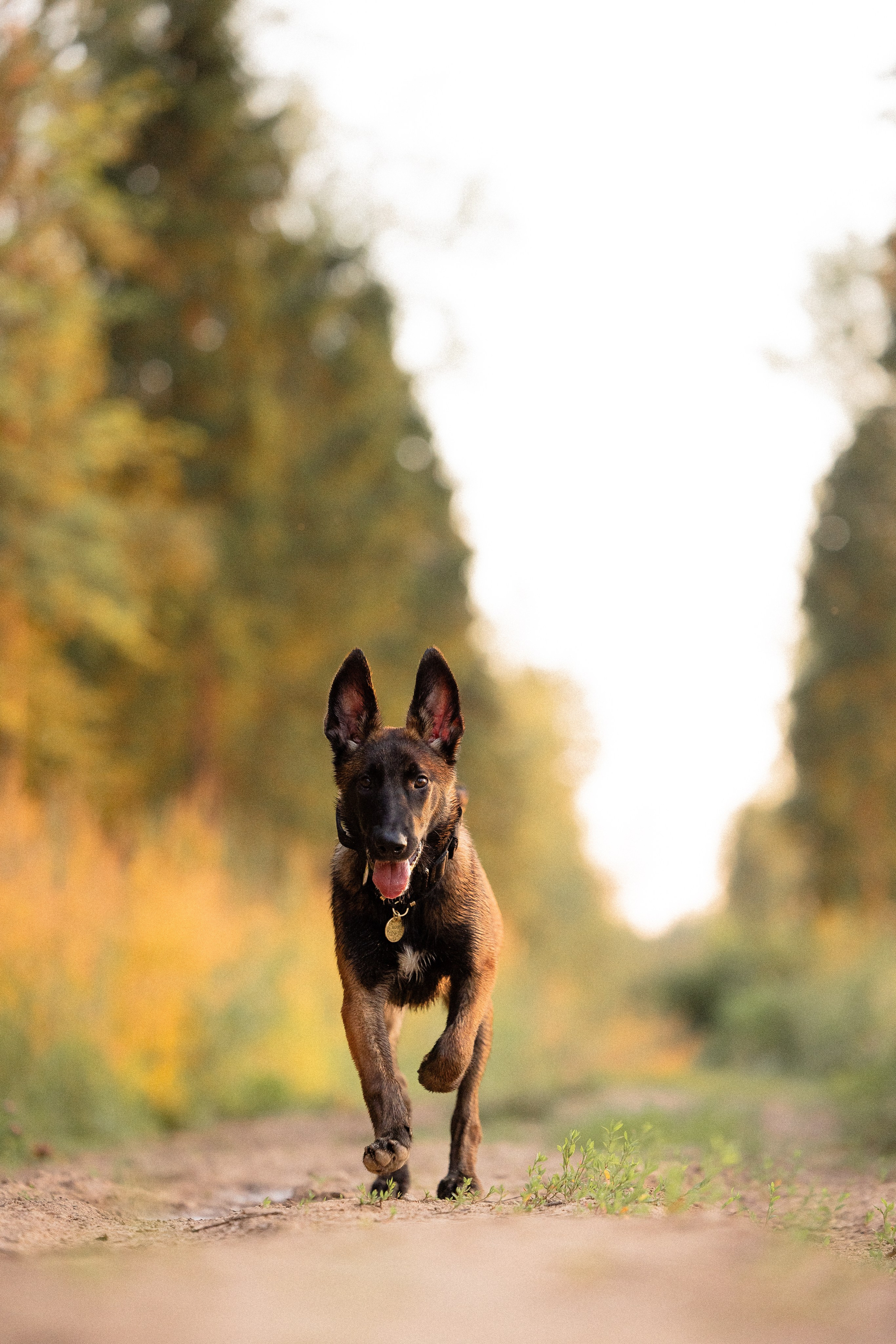 Галина и Лоя. Фотограф и видеограф анималист Аганина Дарья