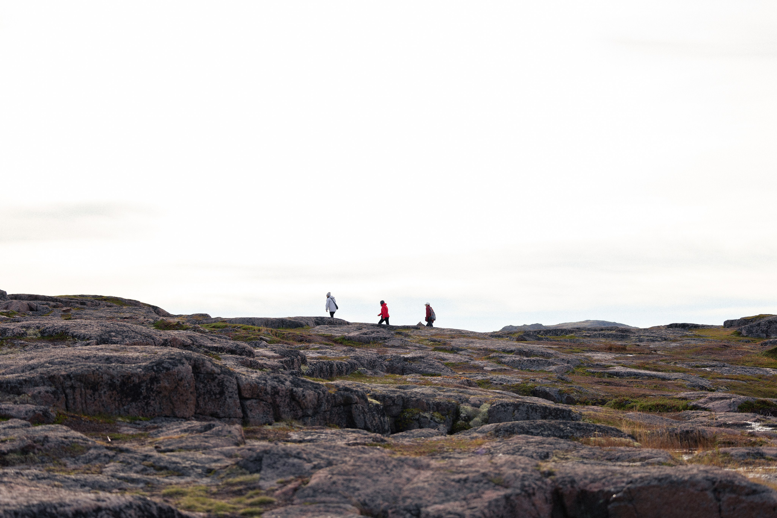 Кольский. Фотограф и видеограф анималист Аганина Дарья