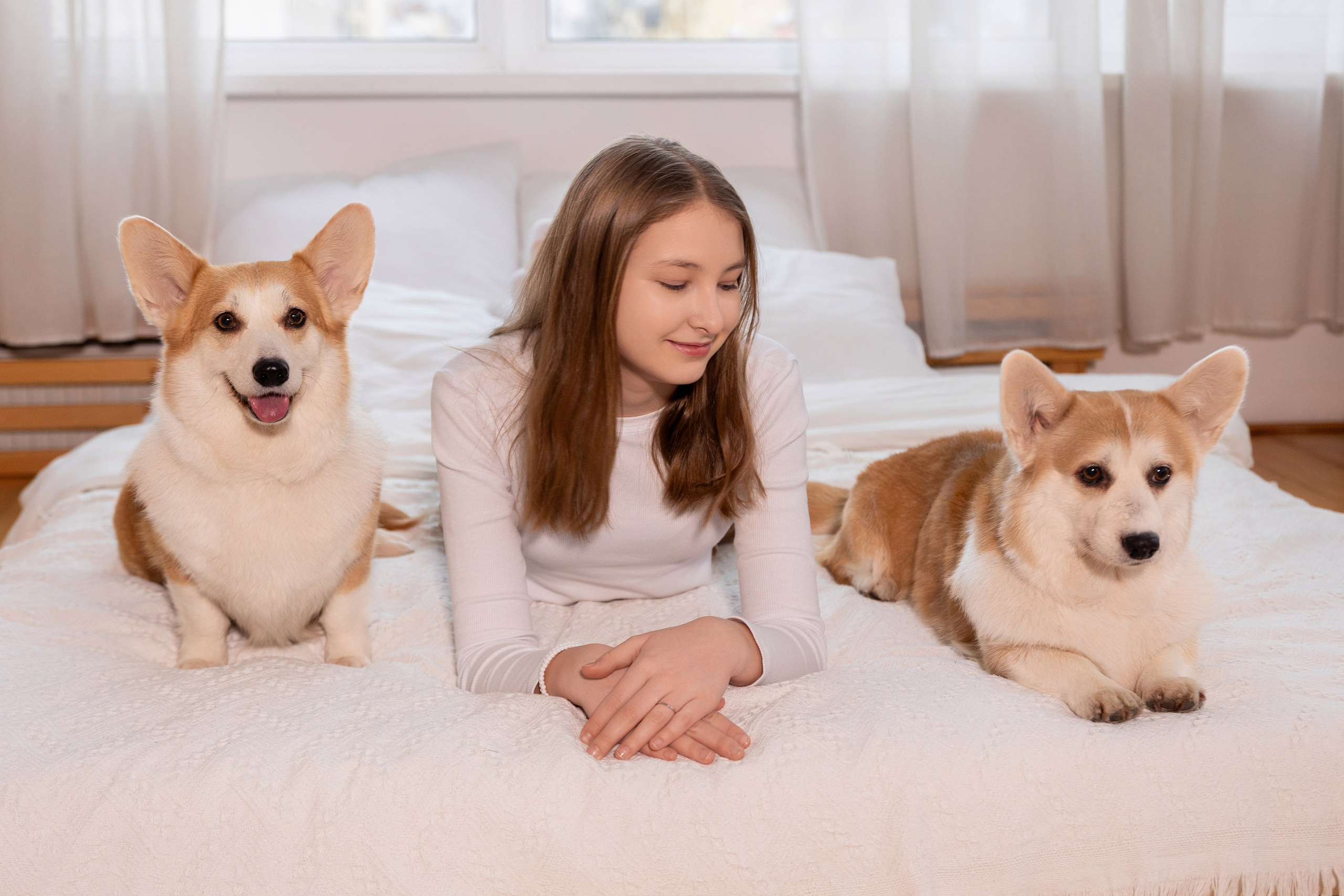 Фотосессия с корги. Семейный и свадебный фотограф в Санкт-Петербурге Татьяна Швыкова