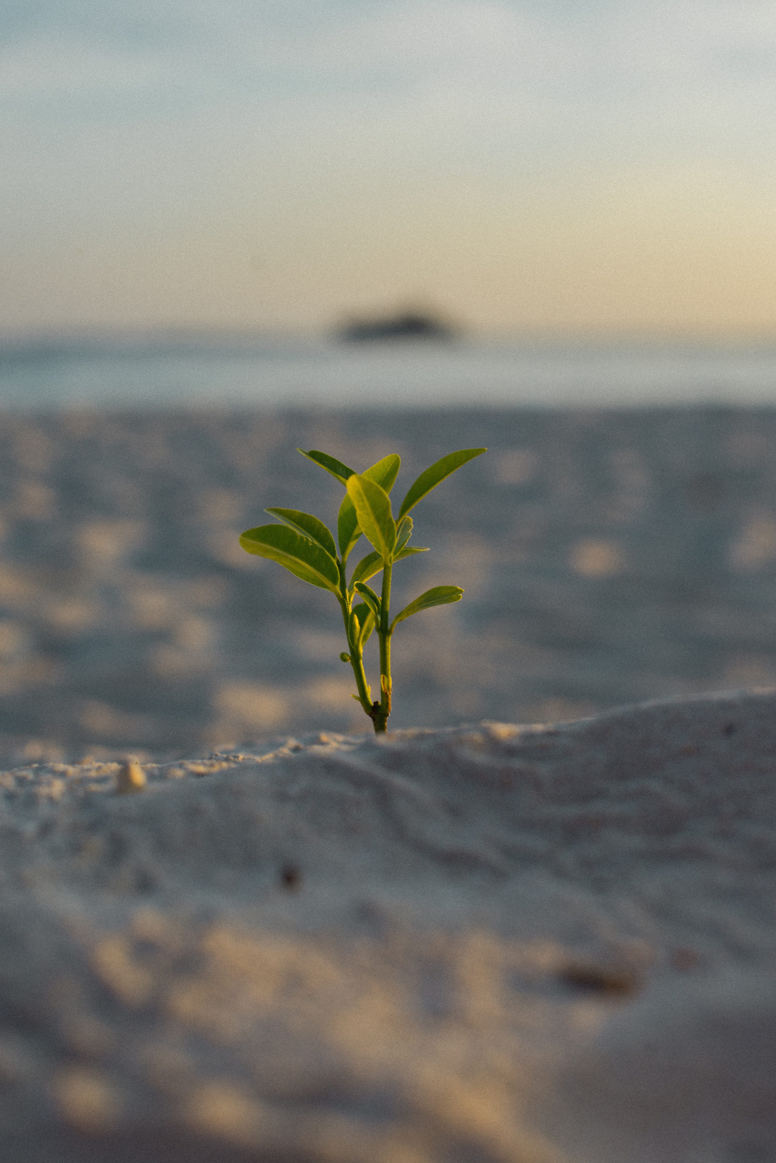 Мальдивы. Фотограф Алиса Аспер