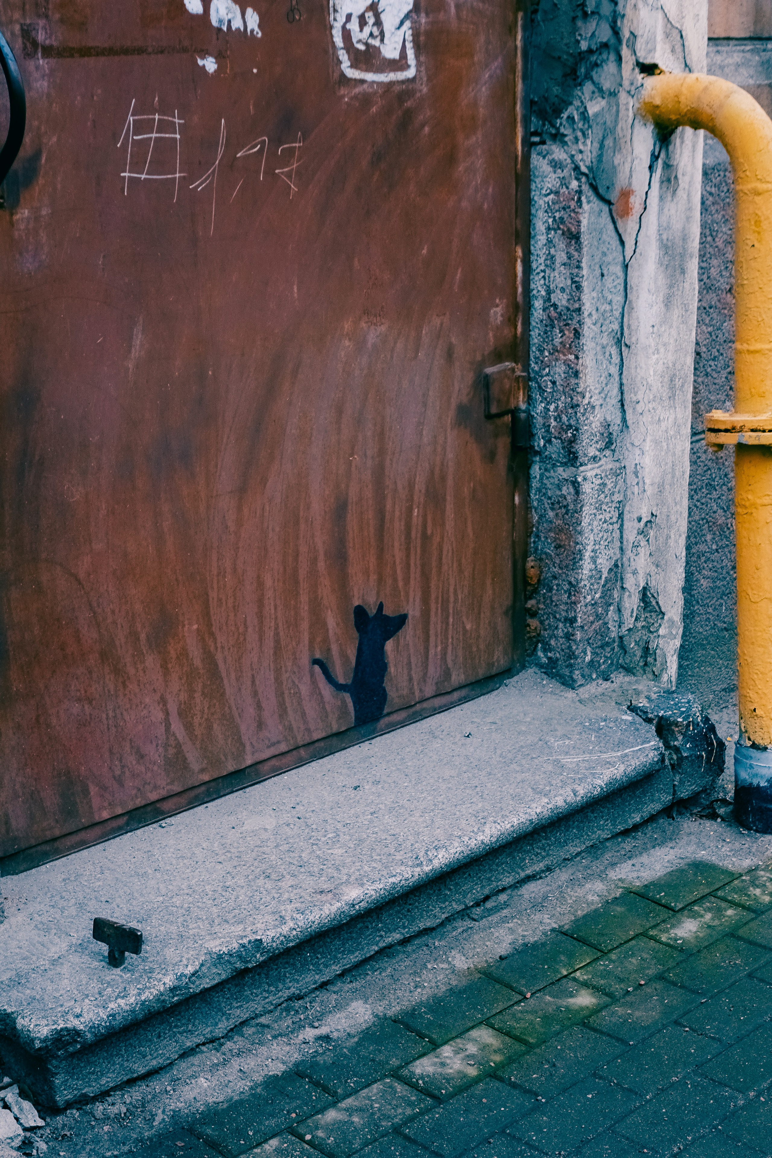 Выборг. Фотограф Алиса Аспер