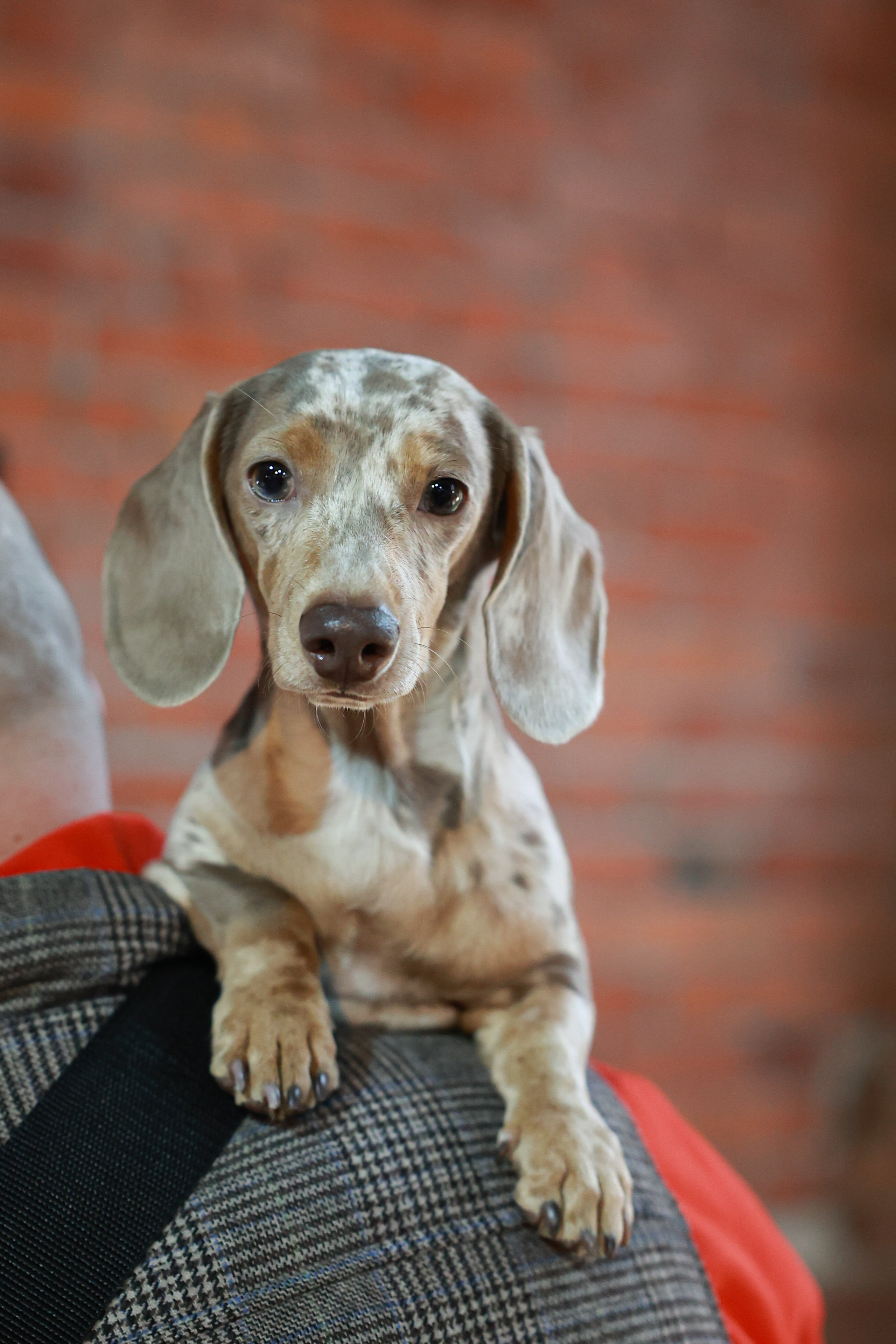 7–8 марта 2026 в Типографии Сытина / фото Саша Жукова. Фотоотчеты «Ламбада-маркета»