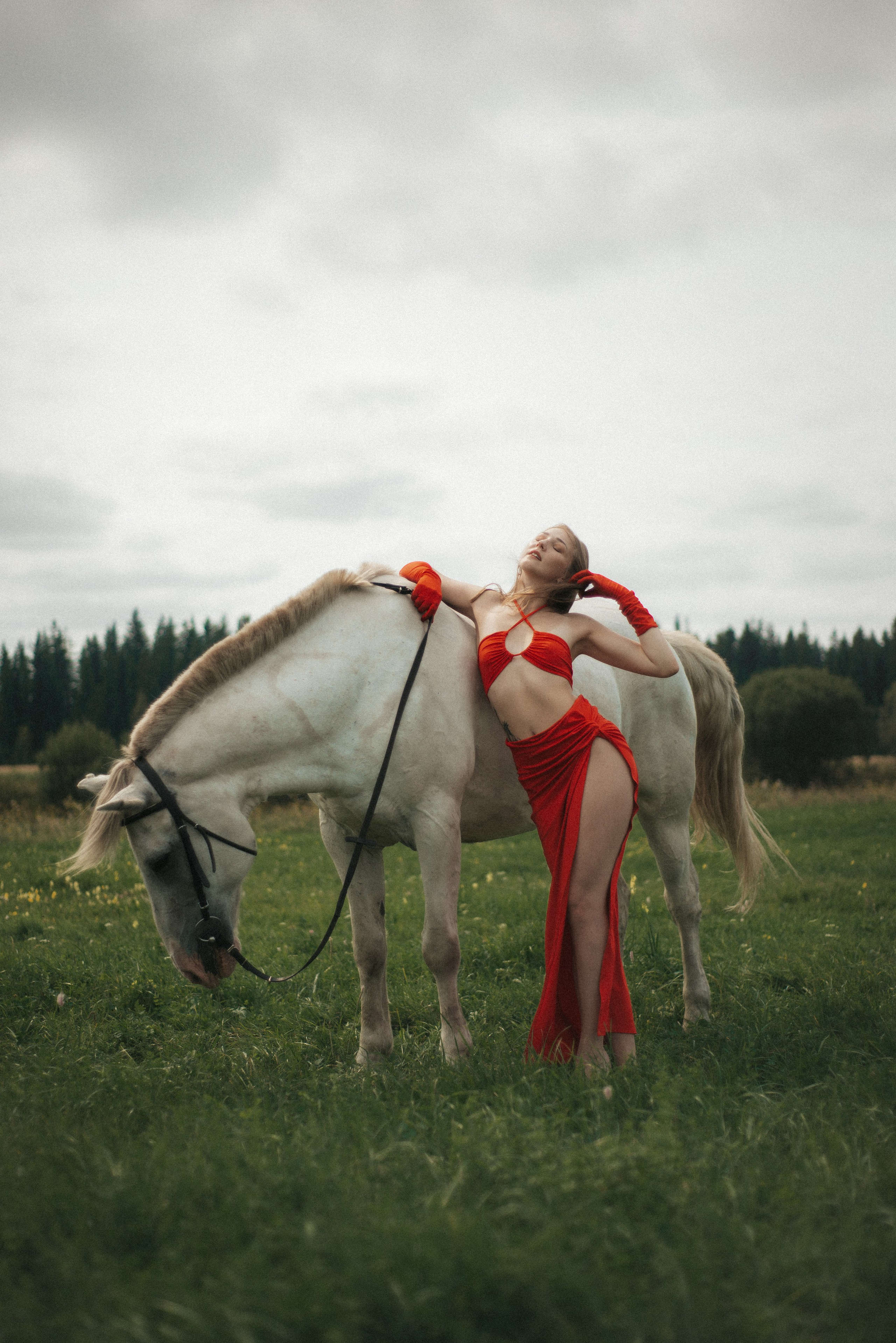 Horse. Фотограф