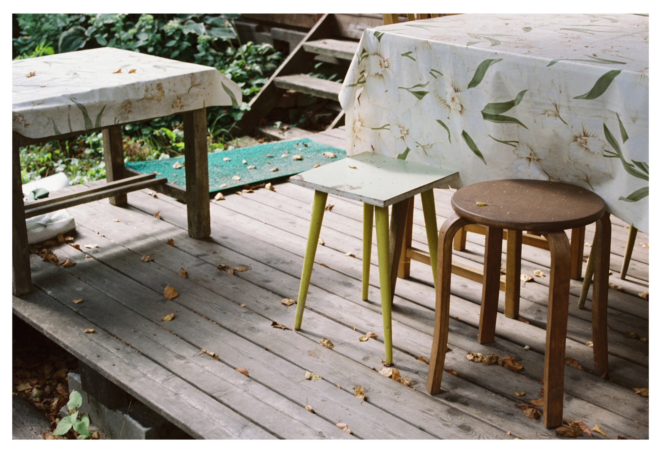 Картинки. Сандра Ковалева | ЧБ фотограф