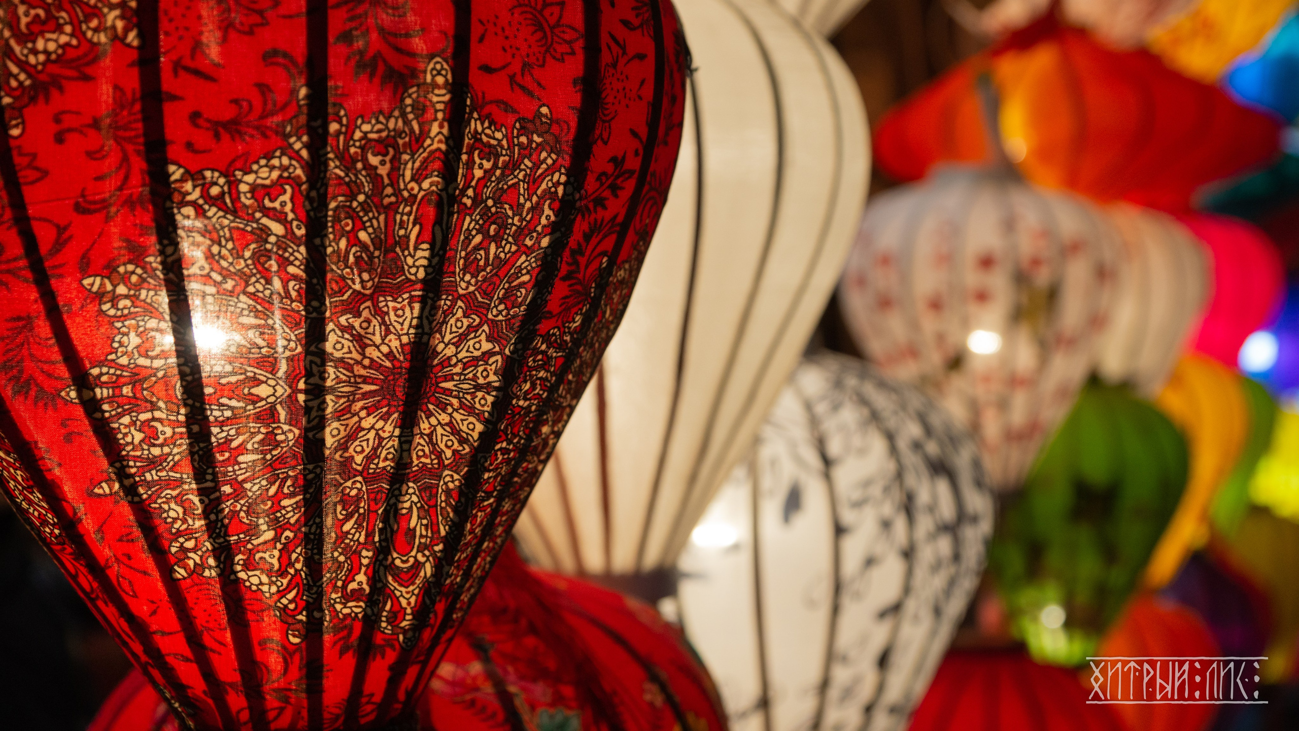 Вьетнам. Фотограф-путешественник Самойлов Максим «Sly Fox»