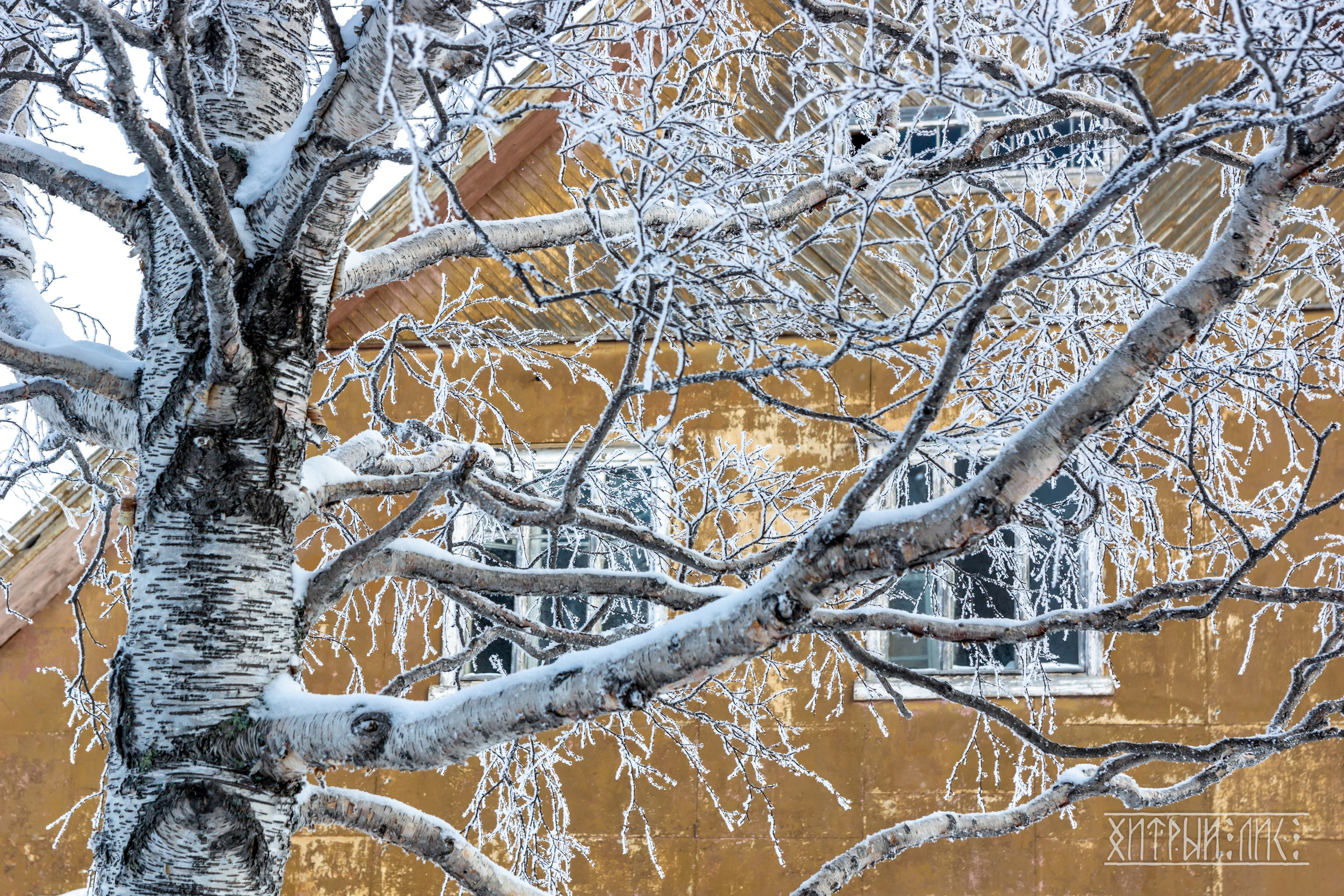 Мурманская обл. Фотограф-путешественник Самойлов Максим «Sly Fox»