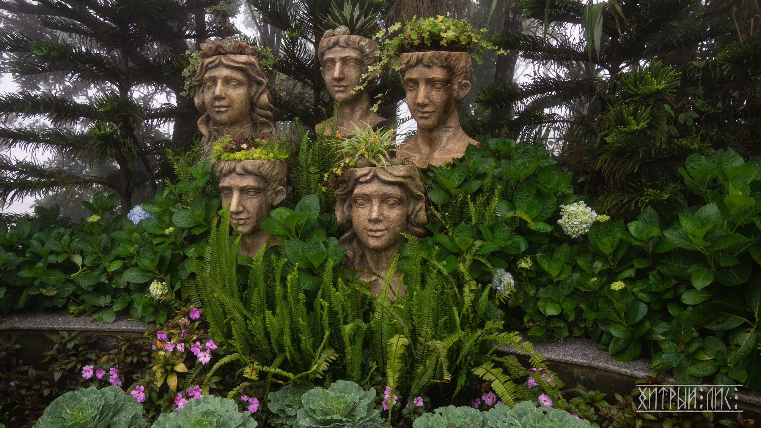 Вьетнам. Фотограф-путешественник Самойлов Максим «Sly Fox»