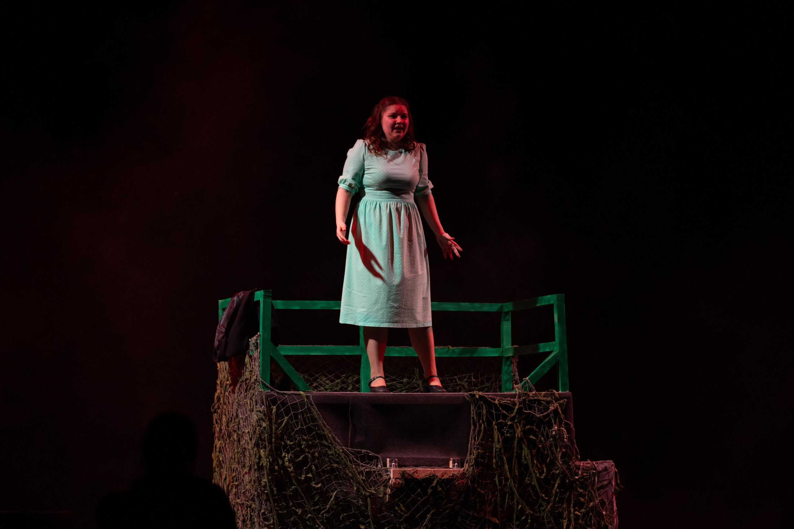 СГИИ — Дипломная работа. KiPPER Gallery — Фотограф