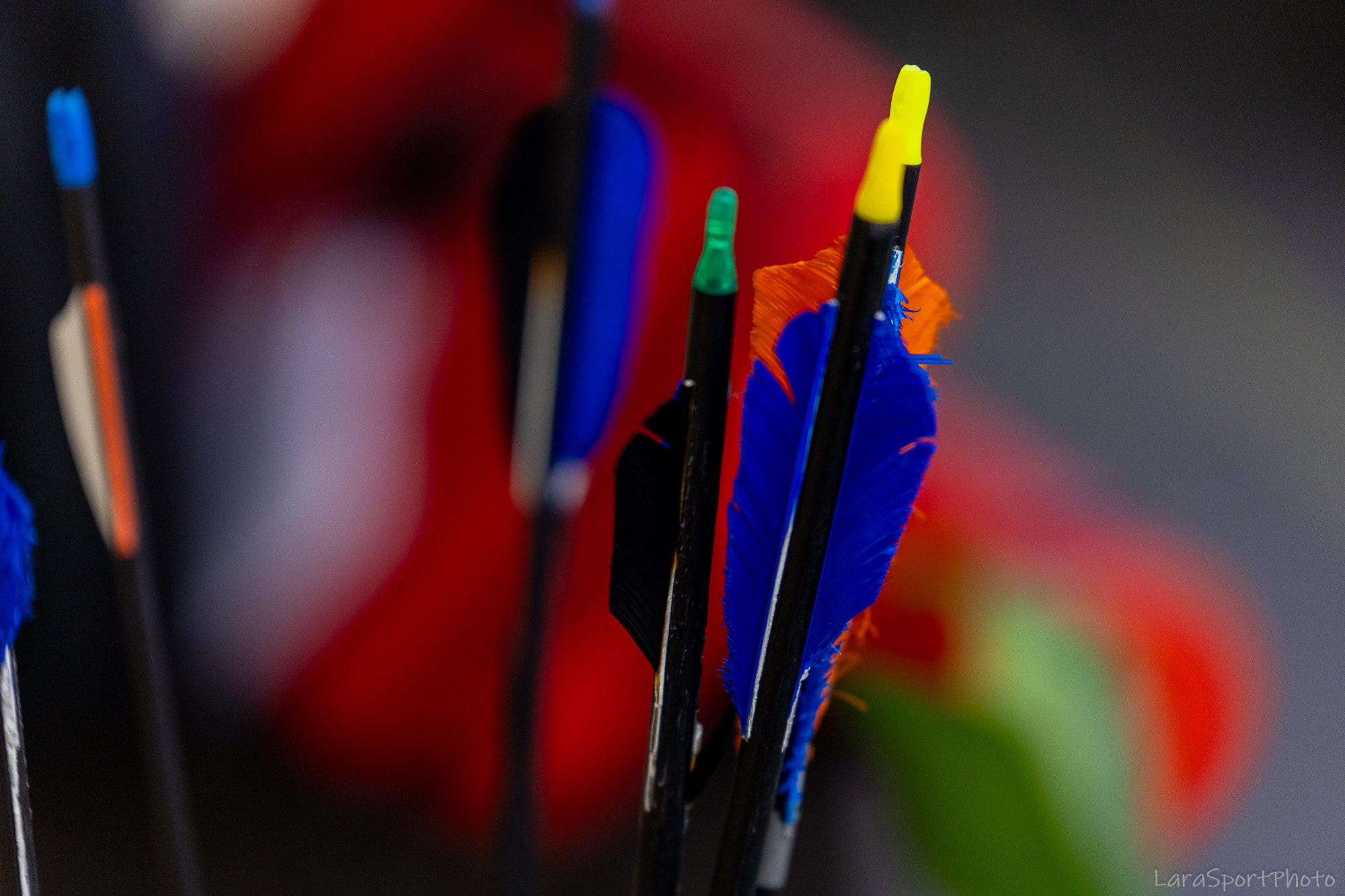 Стрельба из лука, Чемпионат и Первенство Карелии 2026. Lora8299.wfolio.pro