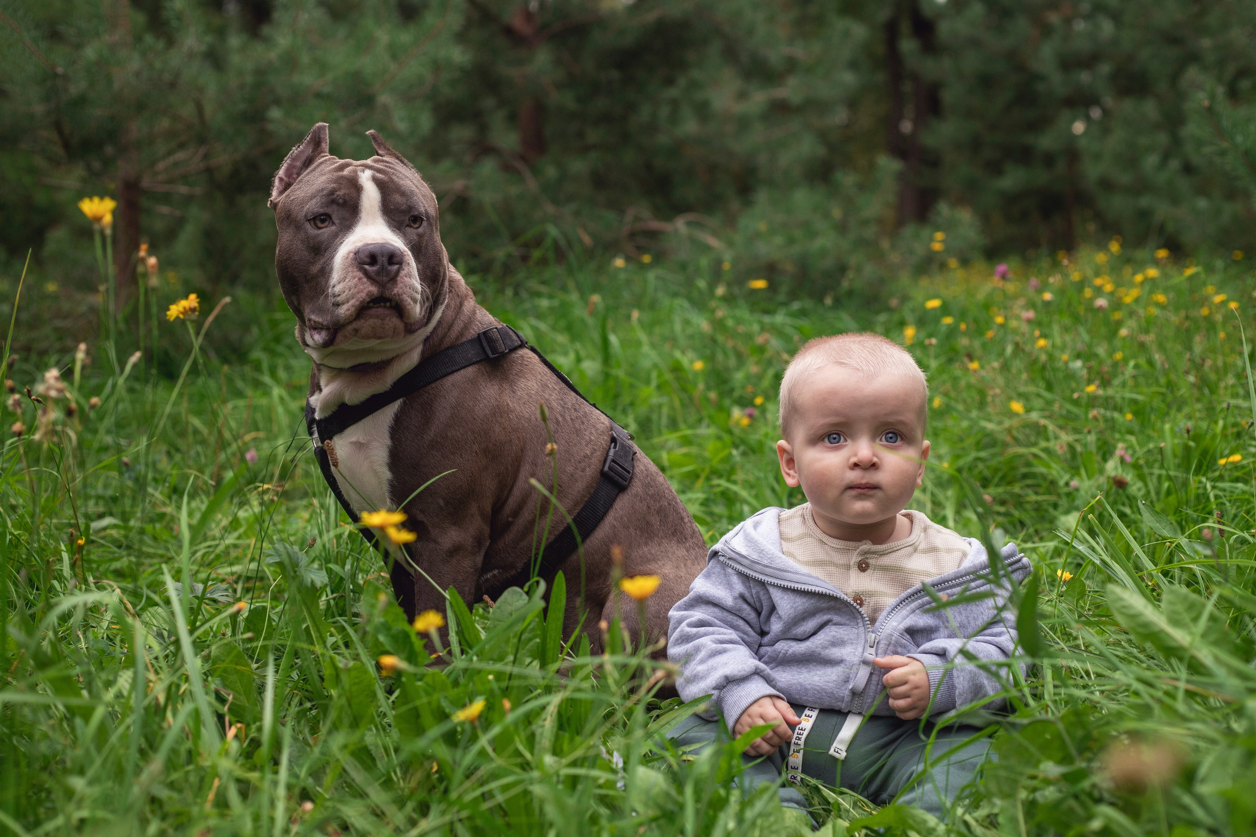 Портфолио. Фотограф-анималист Анна Леонтьева • Москва