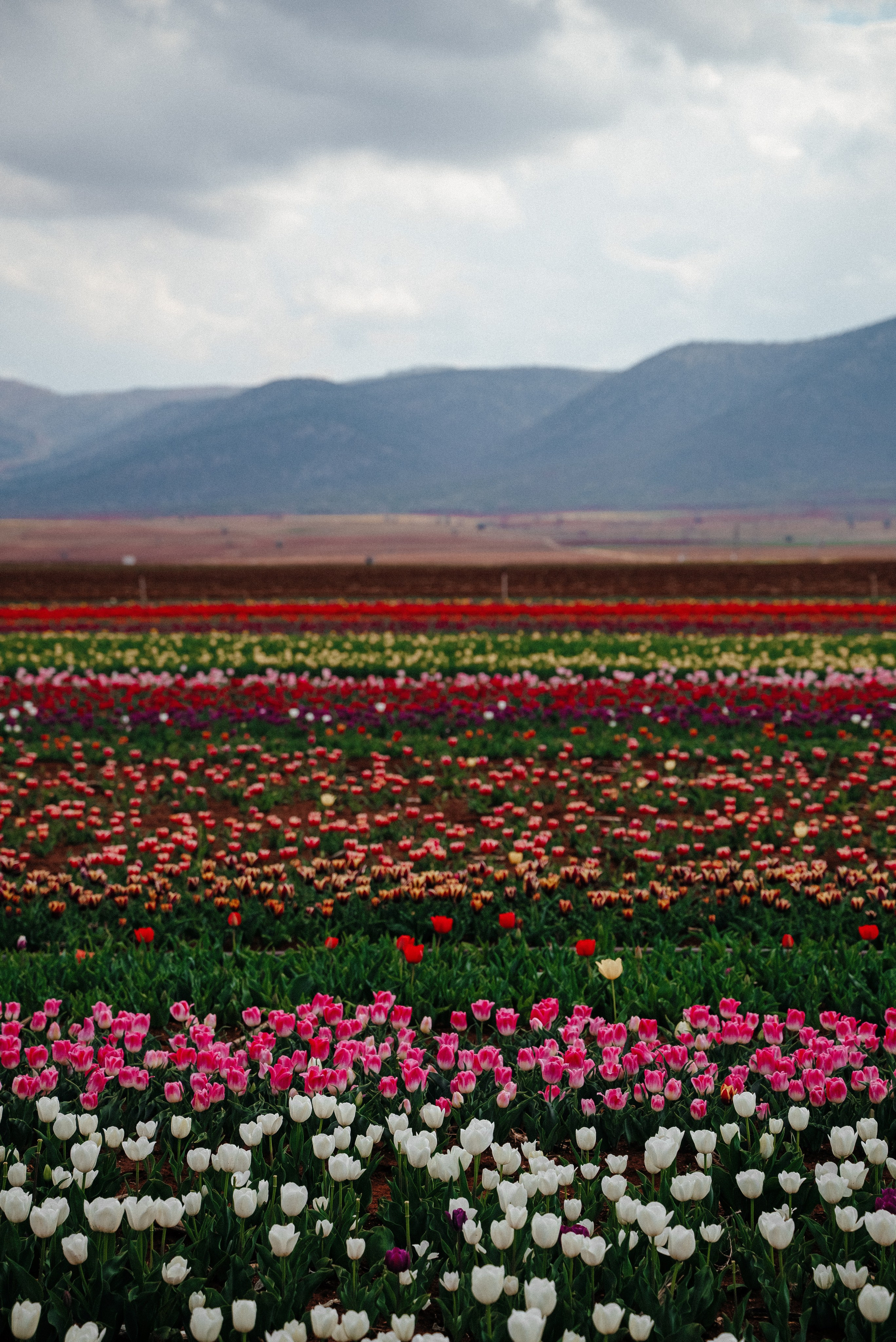 Адана. Анна Лобанова | фотограф