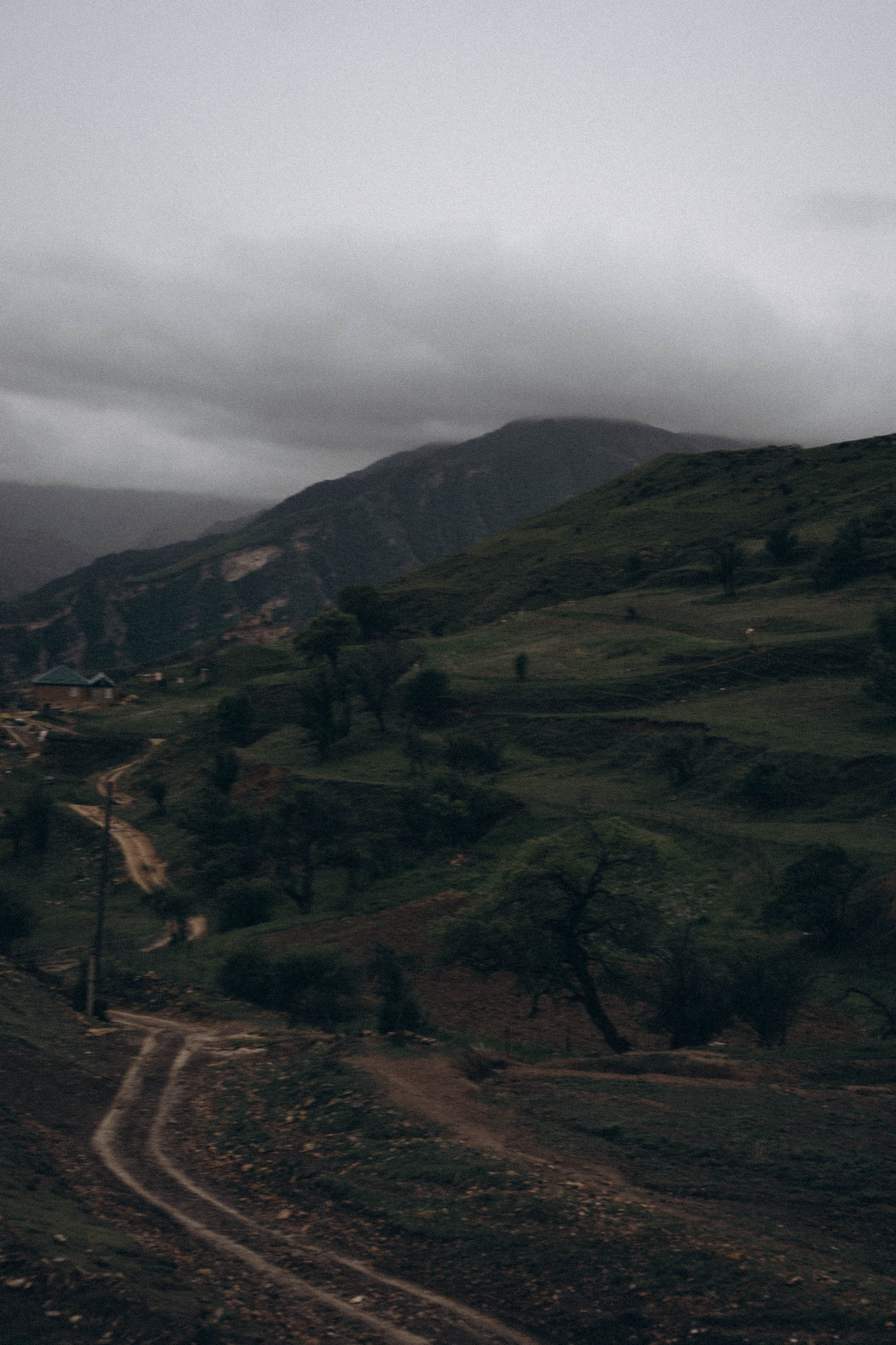 Кавказ. Профессиональный фотограф, Санкт-Петербург — Виктория Богомолова