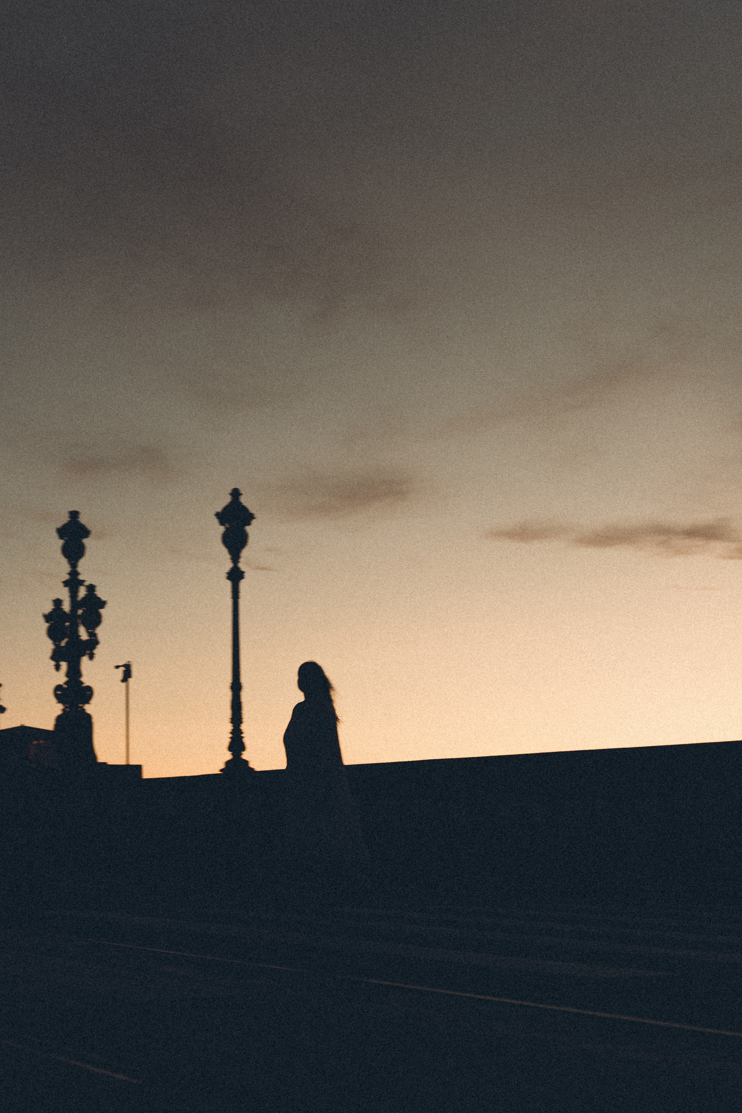 РАССВЕТ С РАЗВОДНЫМИ МОСТАМИ. Профессиональный фотограф, Санкт-Петербург — Виктория Богомолова