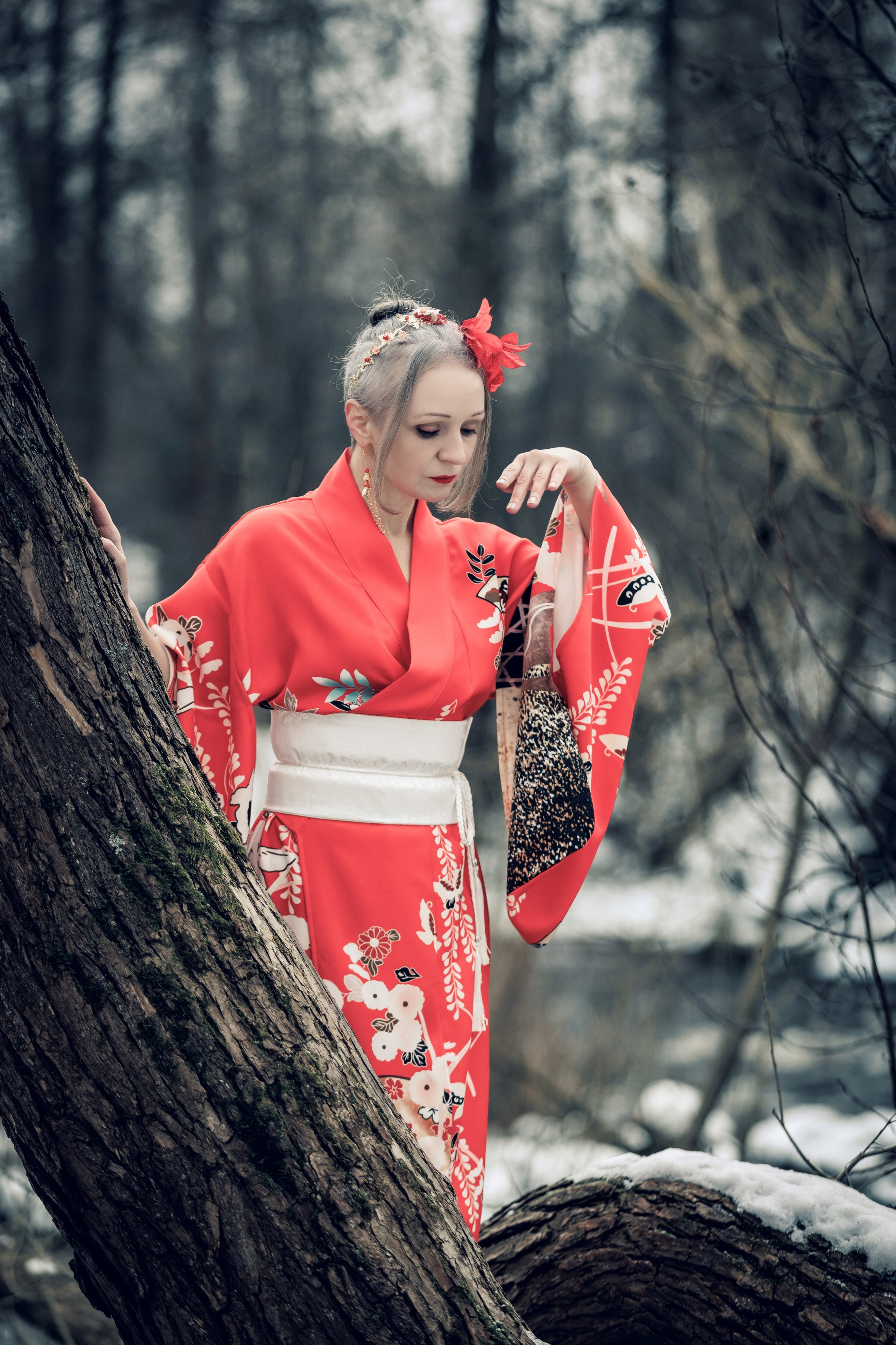 2025-03-02. Сакура