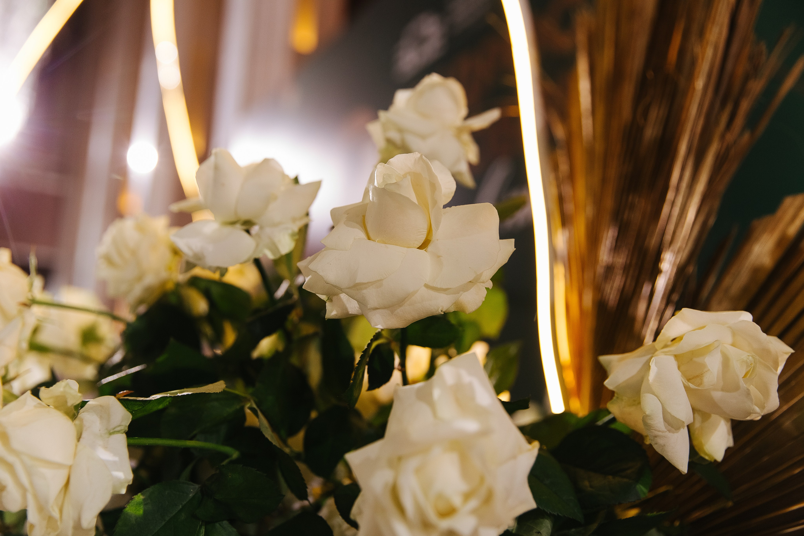 Пед Колледж. Фотограф в Красноярске Любовь Малеева