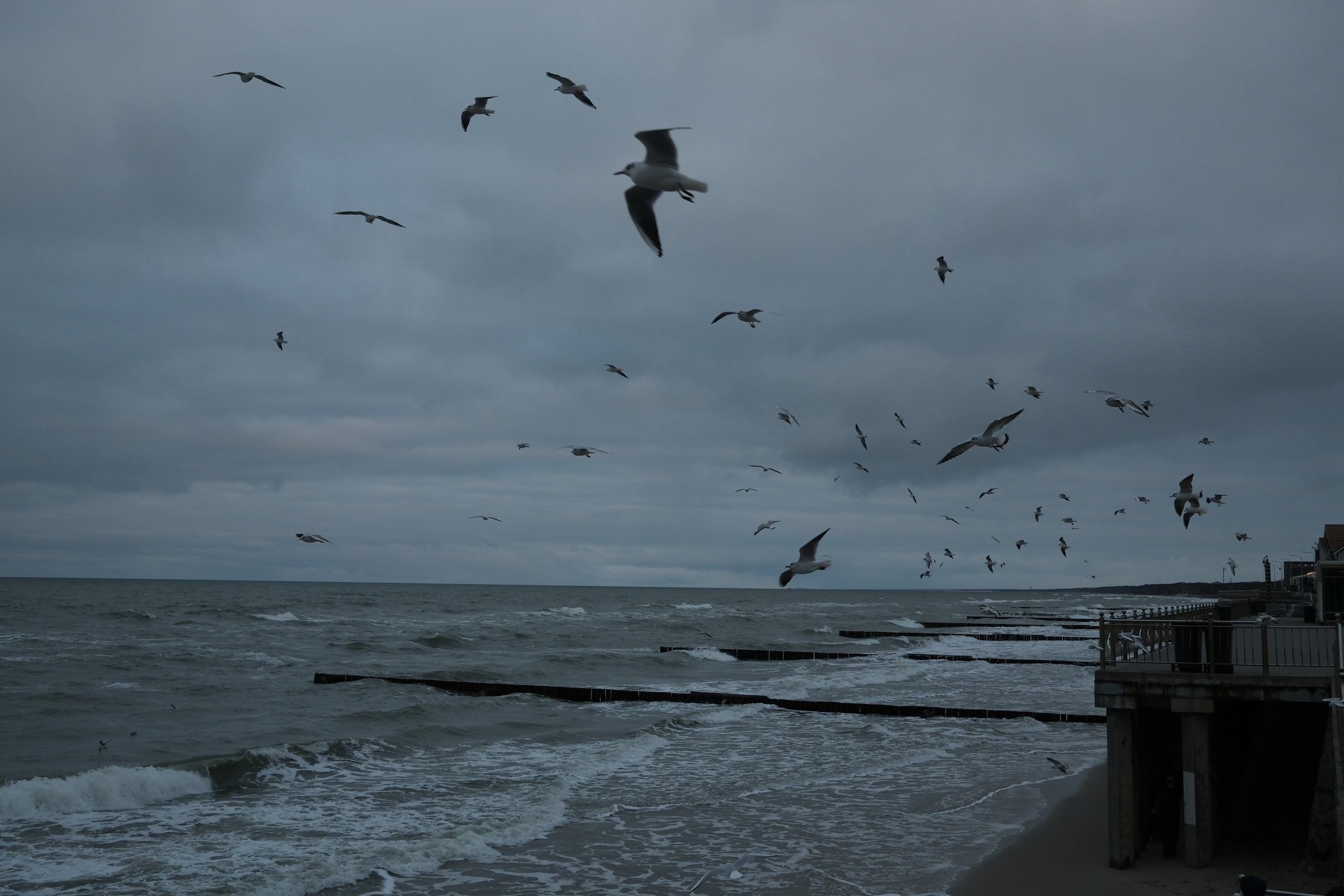 Зеленоградск. Калининградская область. Алексей Торопов фотограф