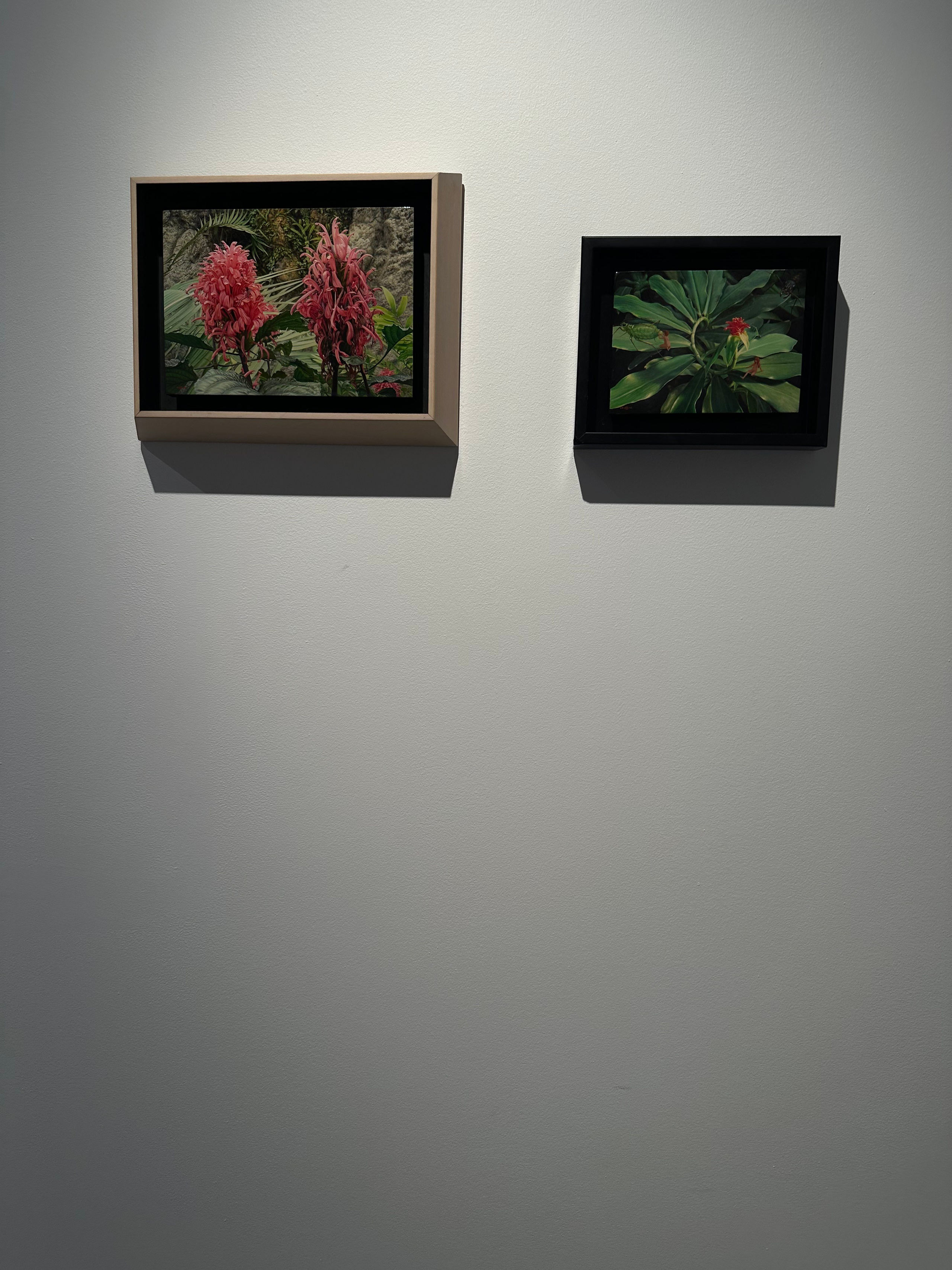 Выставка Чересчур. Фотосессии и репортаж — Фотограф в Москве — Рина Серёгина