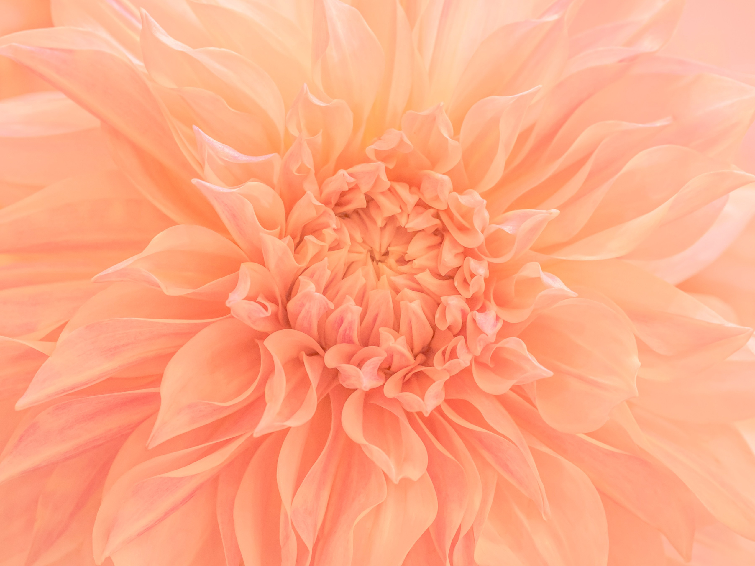 Эксперименты. Фотосессии и репортаж — Фотограф в Москве — Рина Серёгина