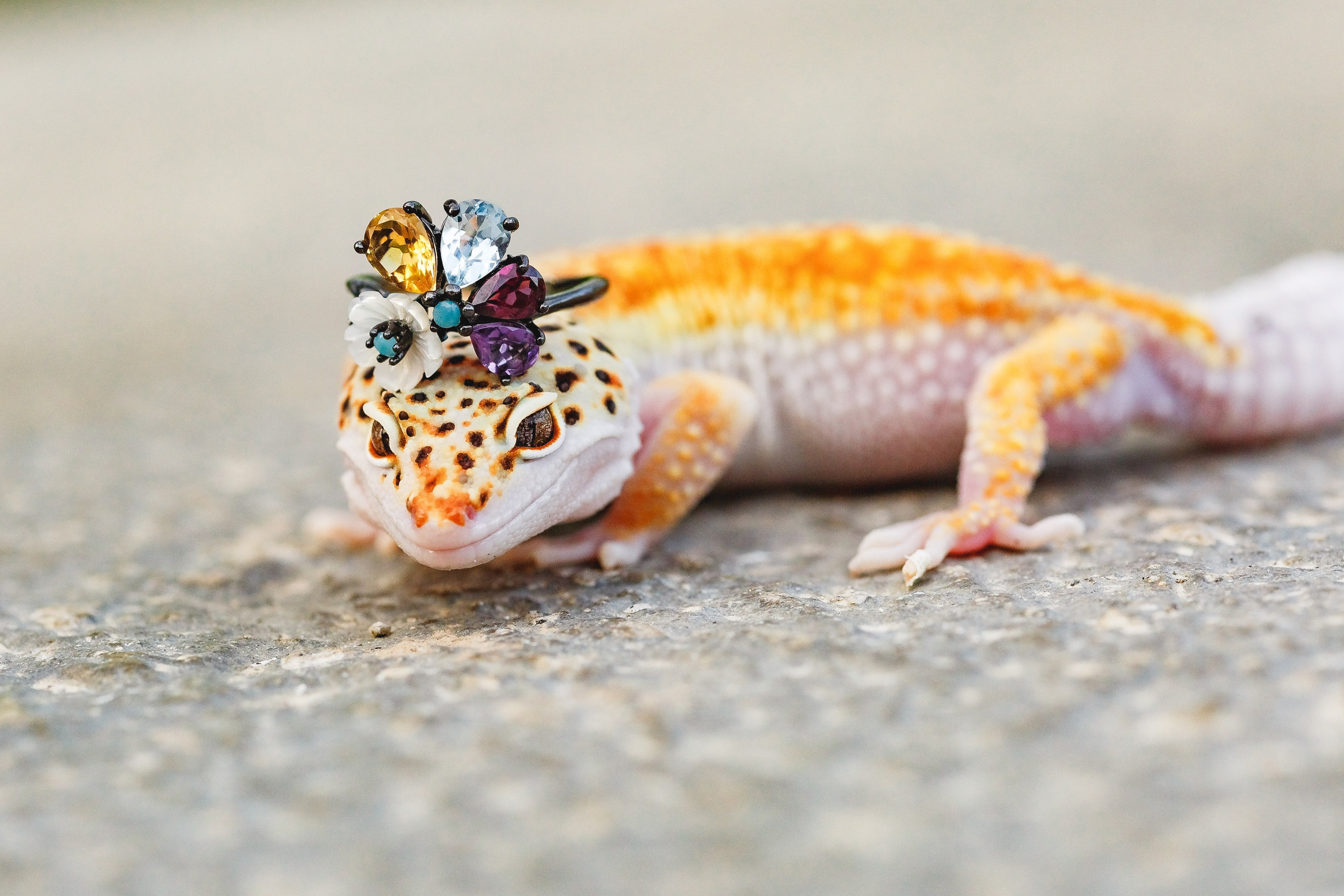 Королева драконов. Семейный фотограф в Екатеринбурге