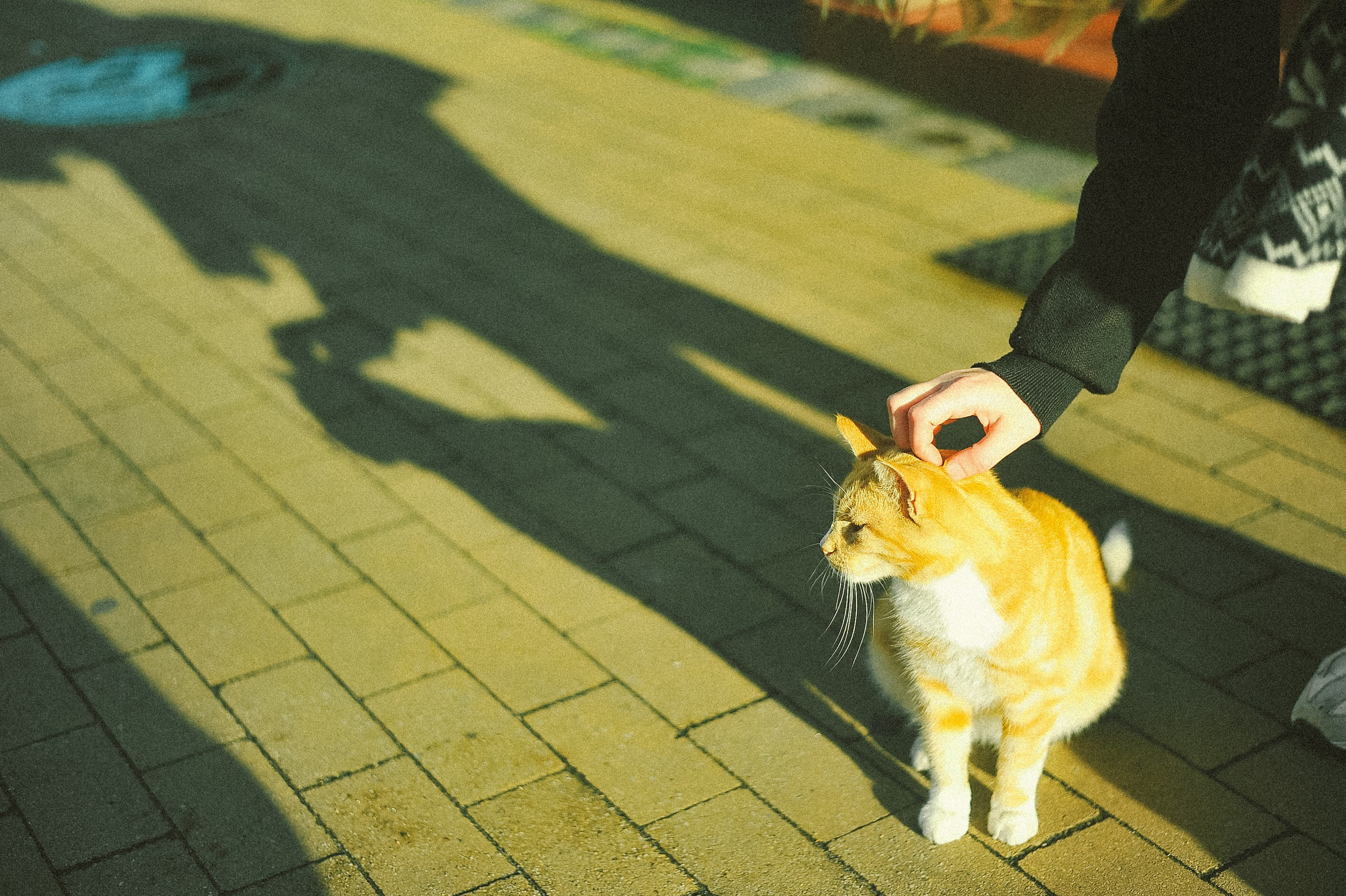 Прогулка. Элька Мурзина