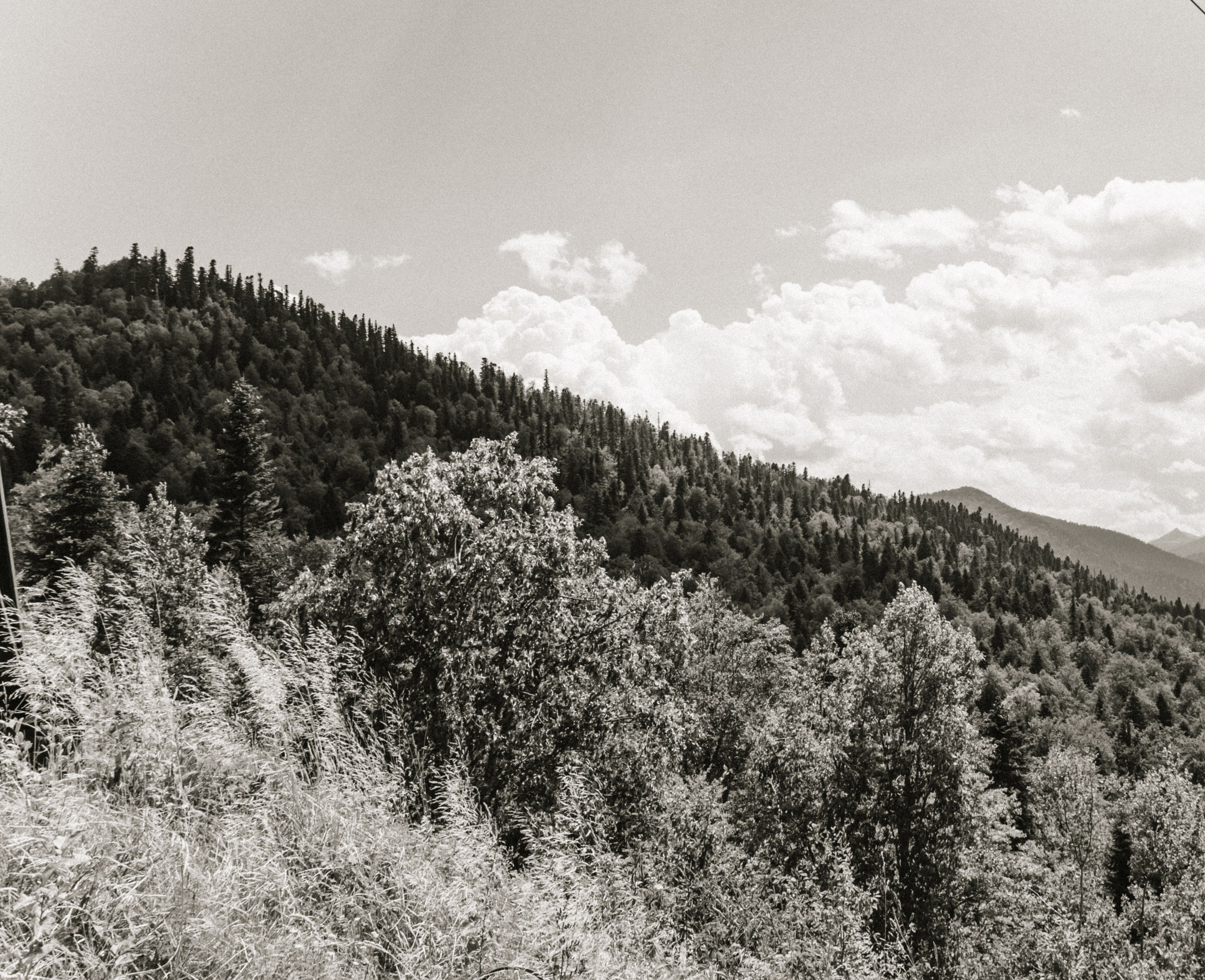 Daytrip Горы. Фотограф в Краснодаре Ольга Бадюк