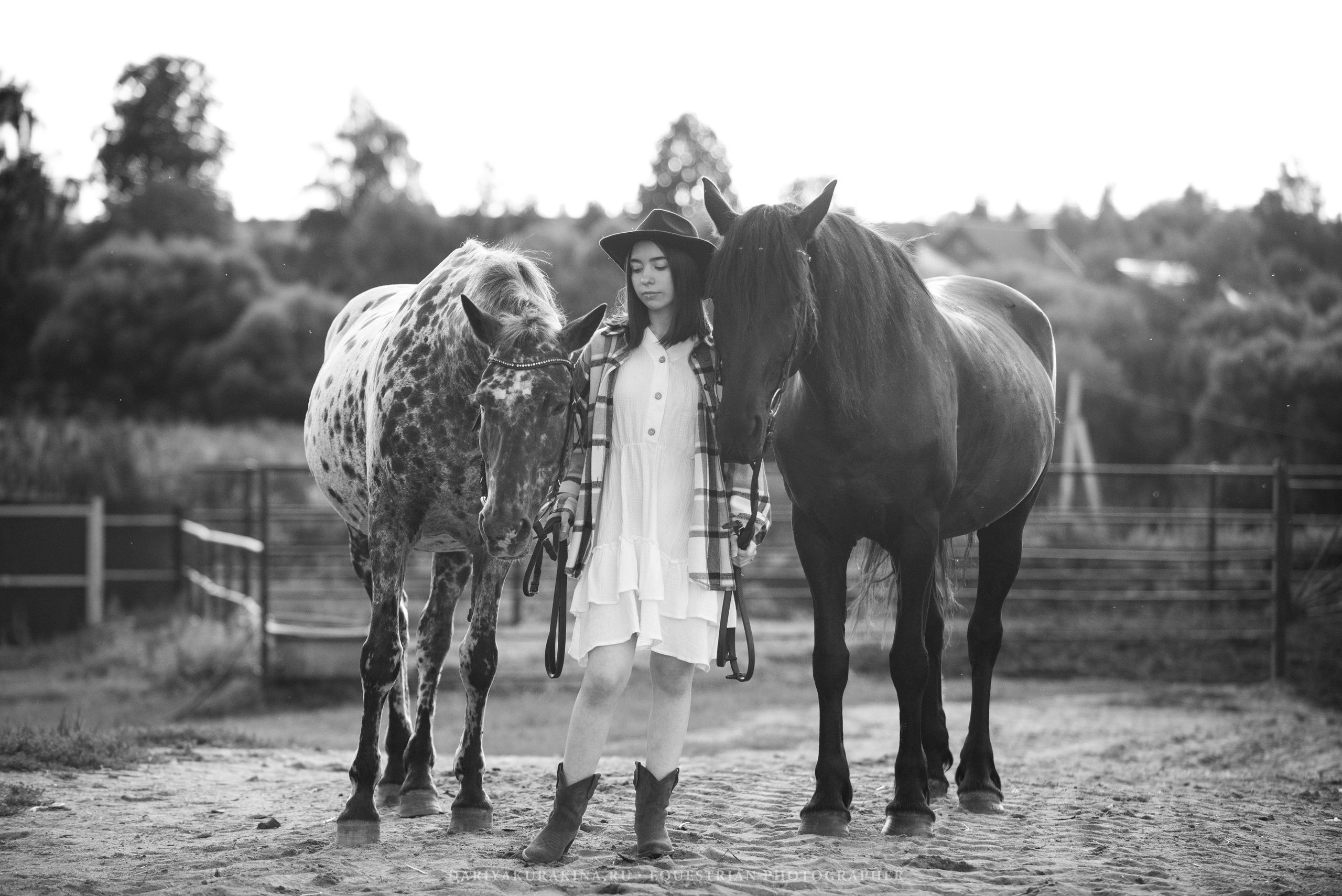 Алиса — Аванпост. Конный фотограф Куракина Дарья • Фотосессии с лошадьми