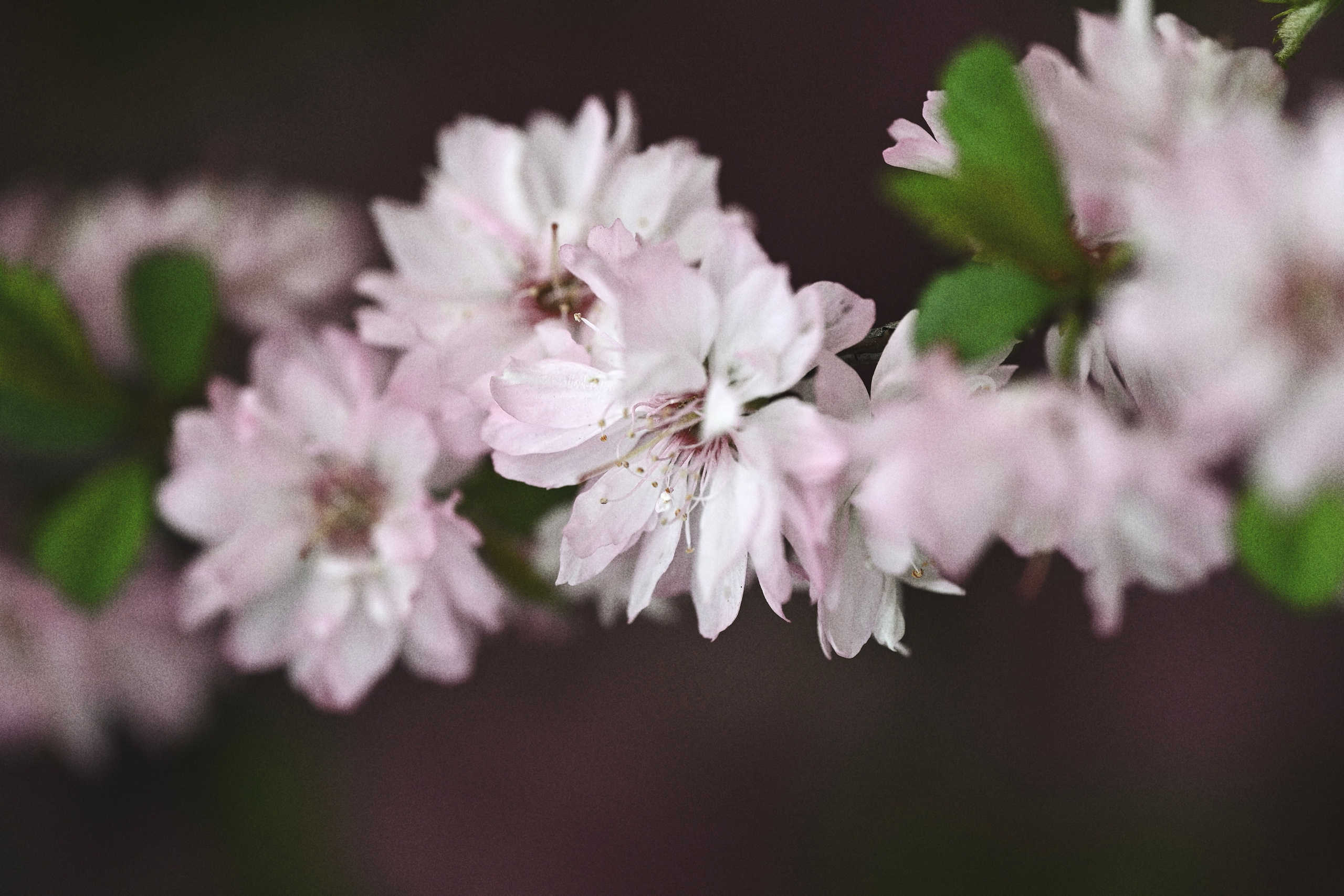Виктория. Фотограф в Иркутске Славная Юлия
