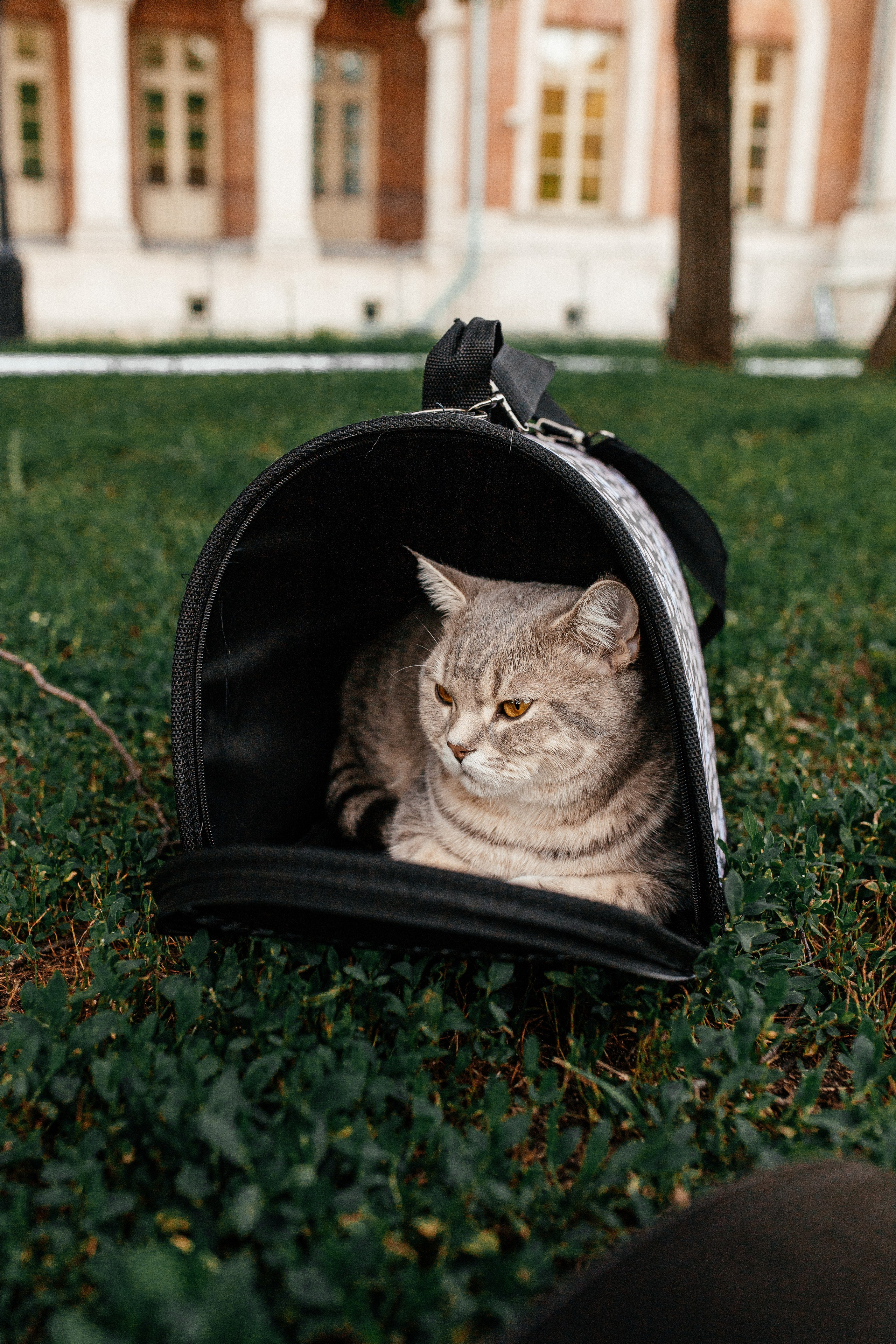 Оксана, Олег, Камилла и София!. Профессиональный фотограф, Москва |Видное Елена Елизарова