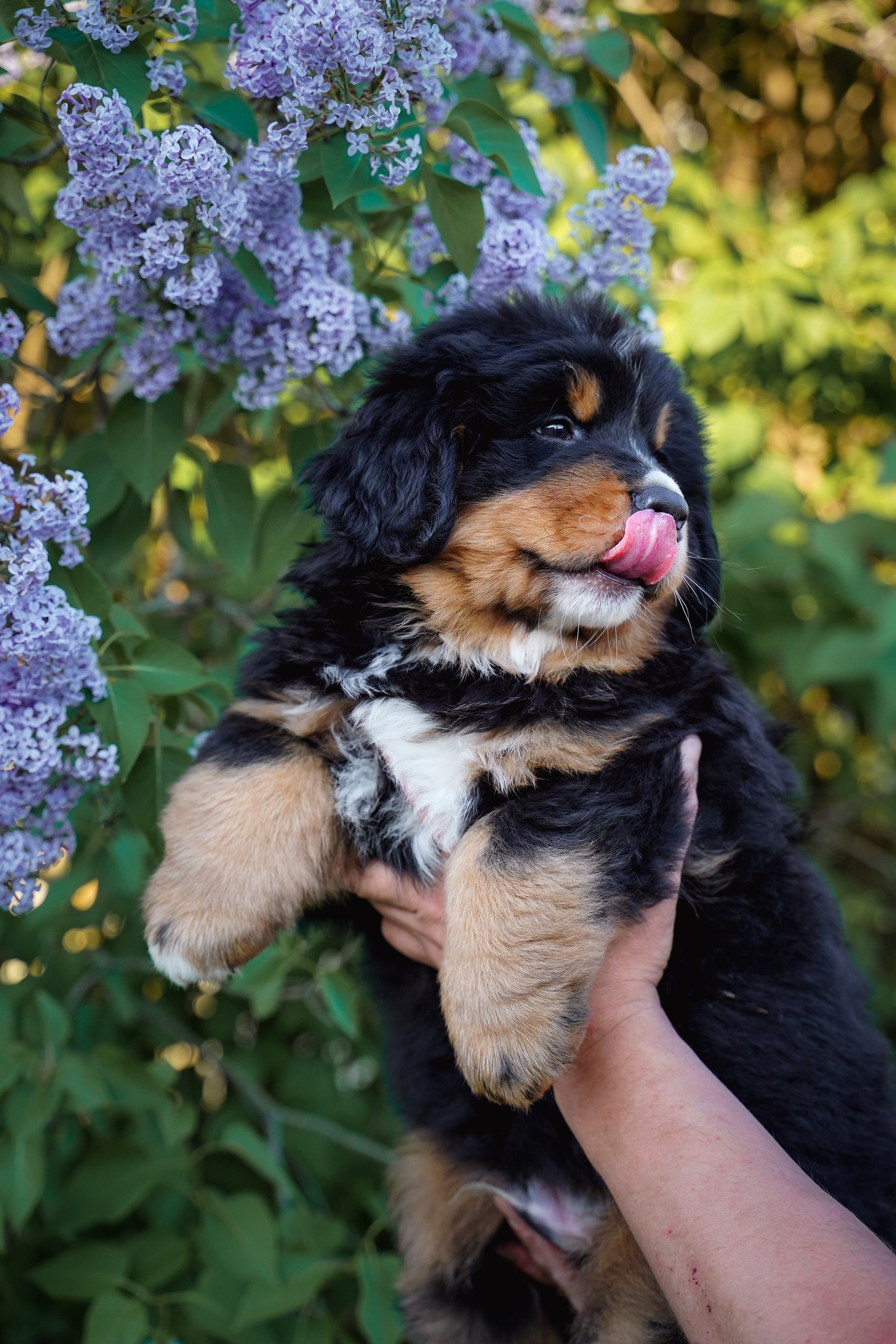 Семейный и свадебный фотограф Елена Граф. Свадебный и семейный фотограф в Екатеринбурге ЕЛЕНА ГРАФ