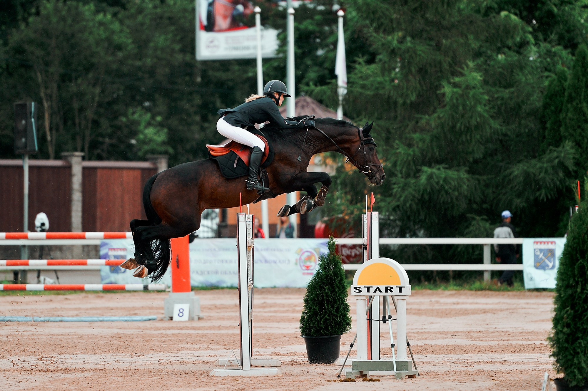 Конкур. Конный фотограф Alesya Safe