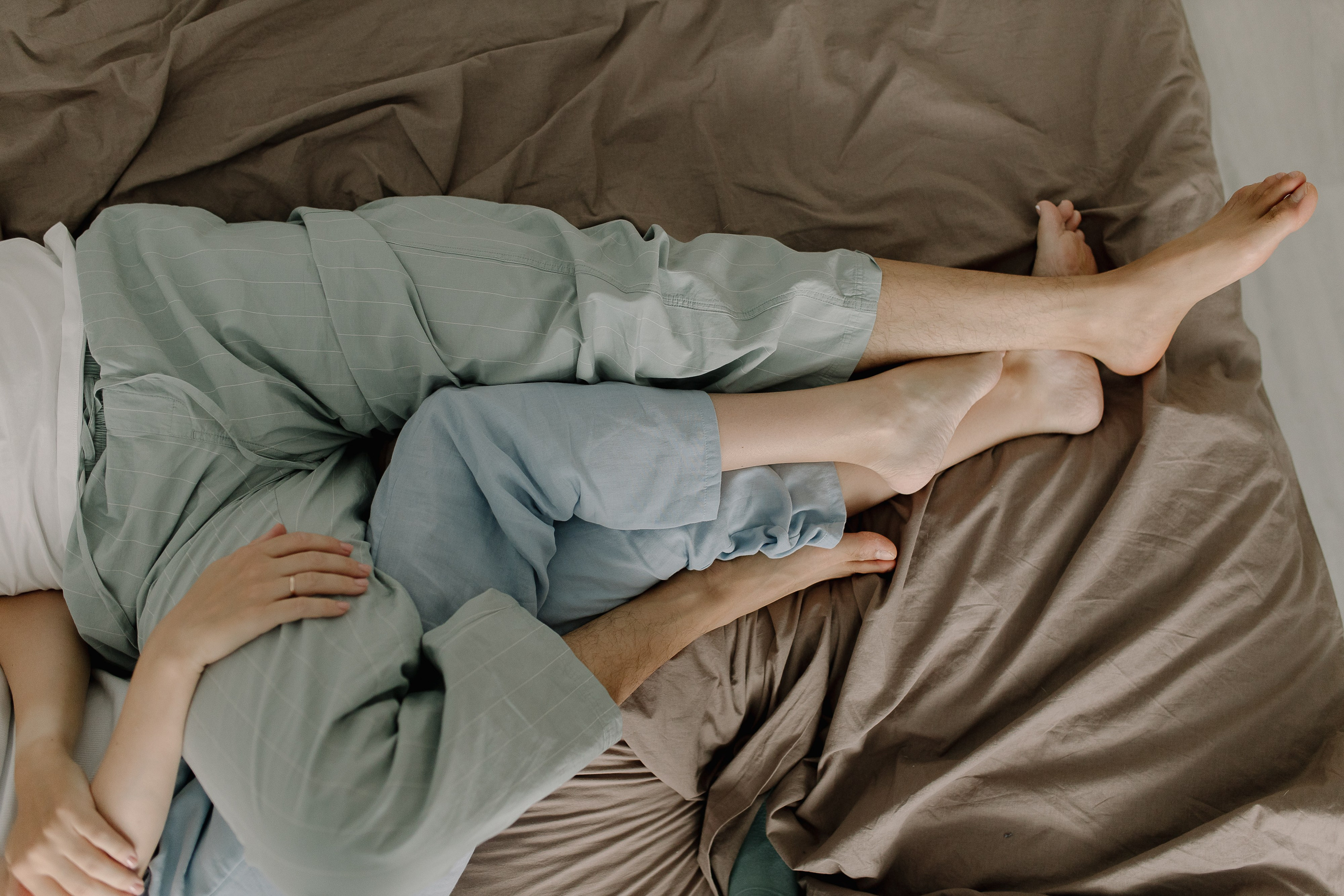 Домашняя история. Meryfotoidea