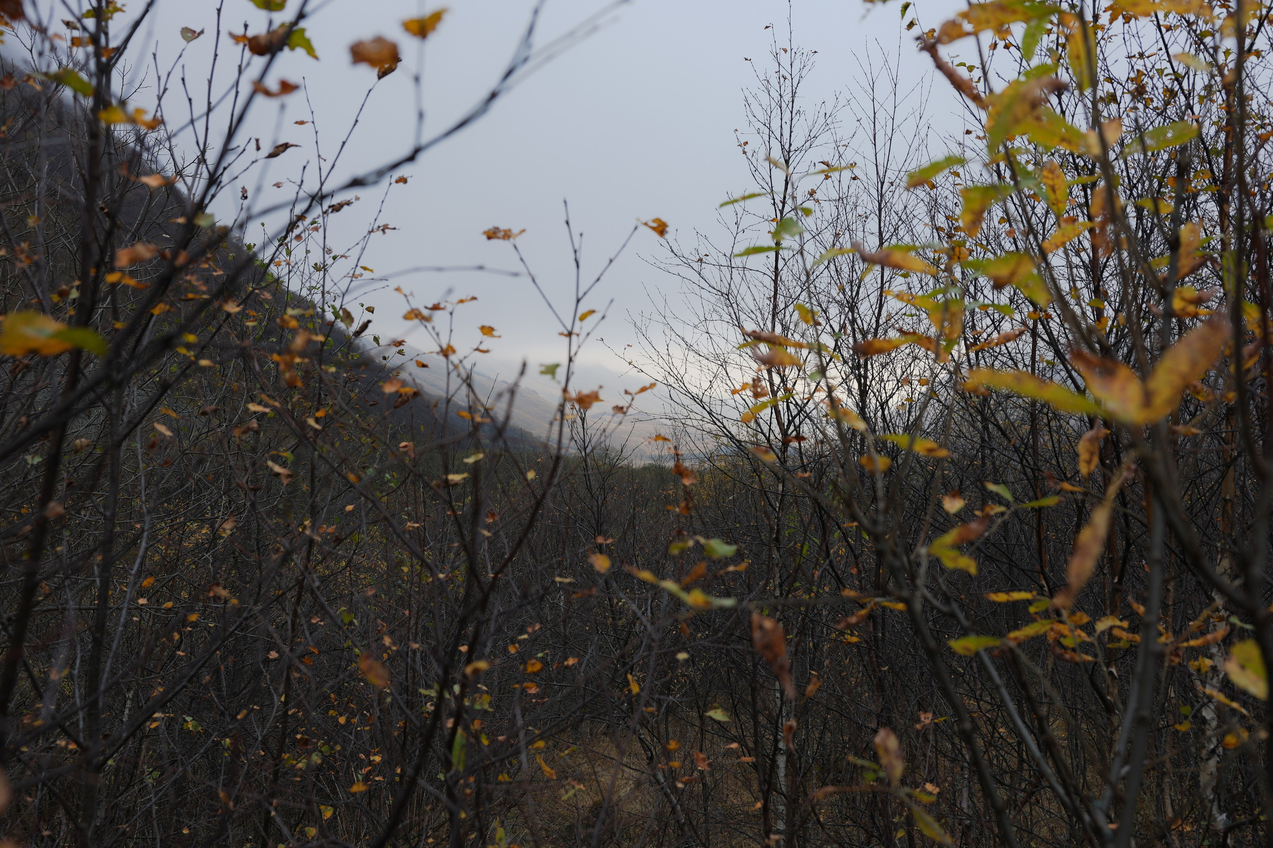 Фотограф Мария Алексеева. Мария Алексеева. Фотограф в Москве