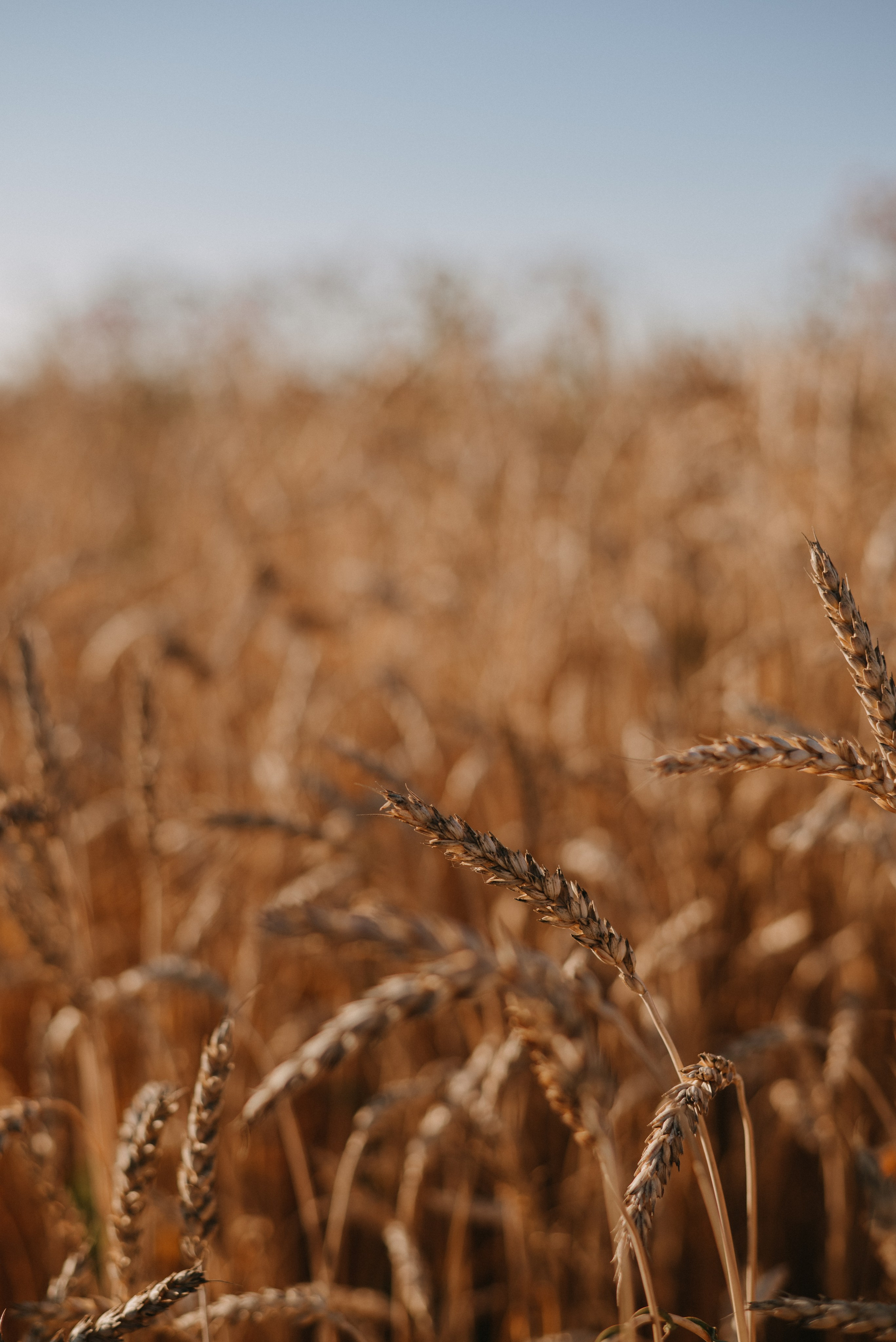 J. Свадебный фотограф Уфа Дарья Насырова