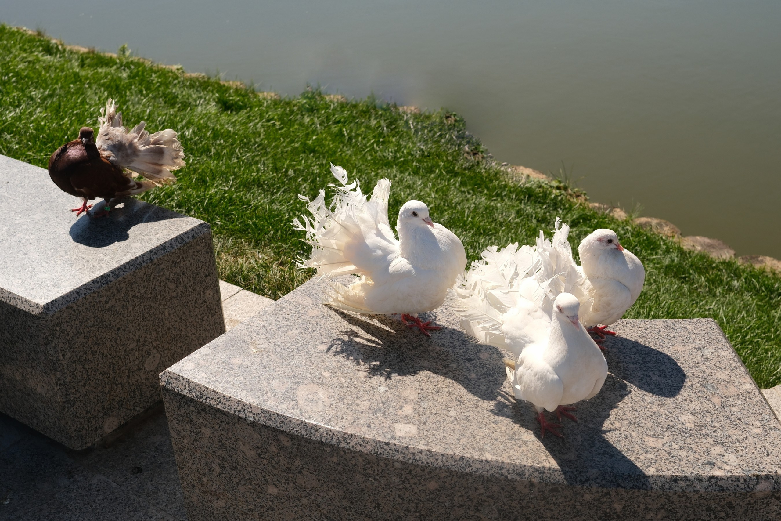 Осень 2023. Улица, люди, жизнь…