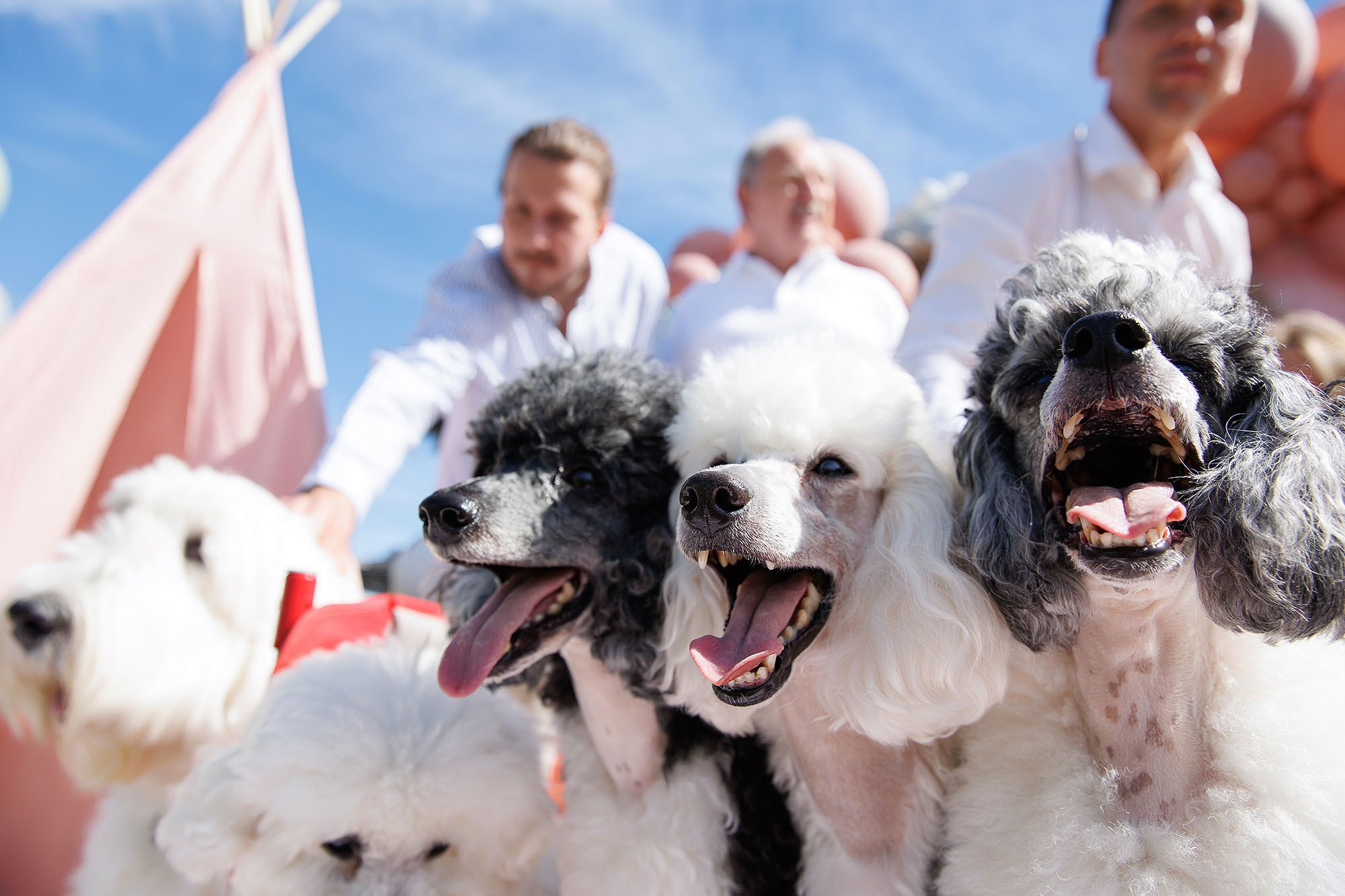 Детские праздники или дни рождения. Фотограф в Москве Валерий Боцман