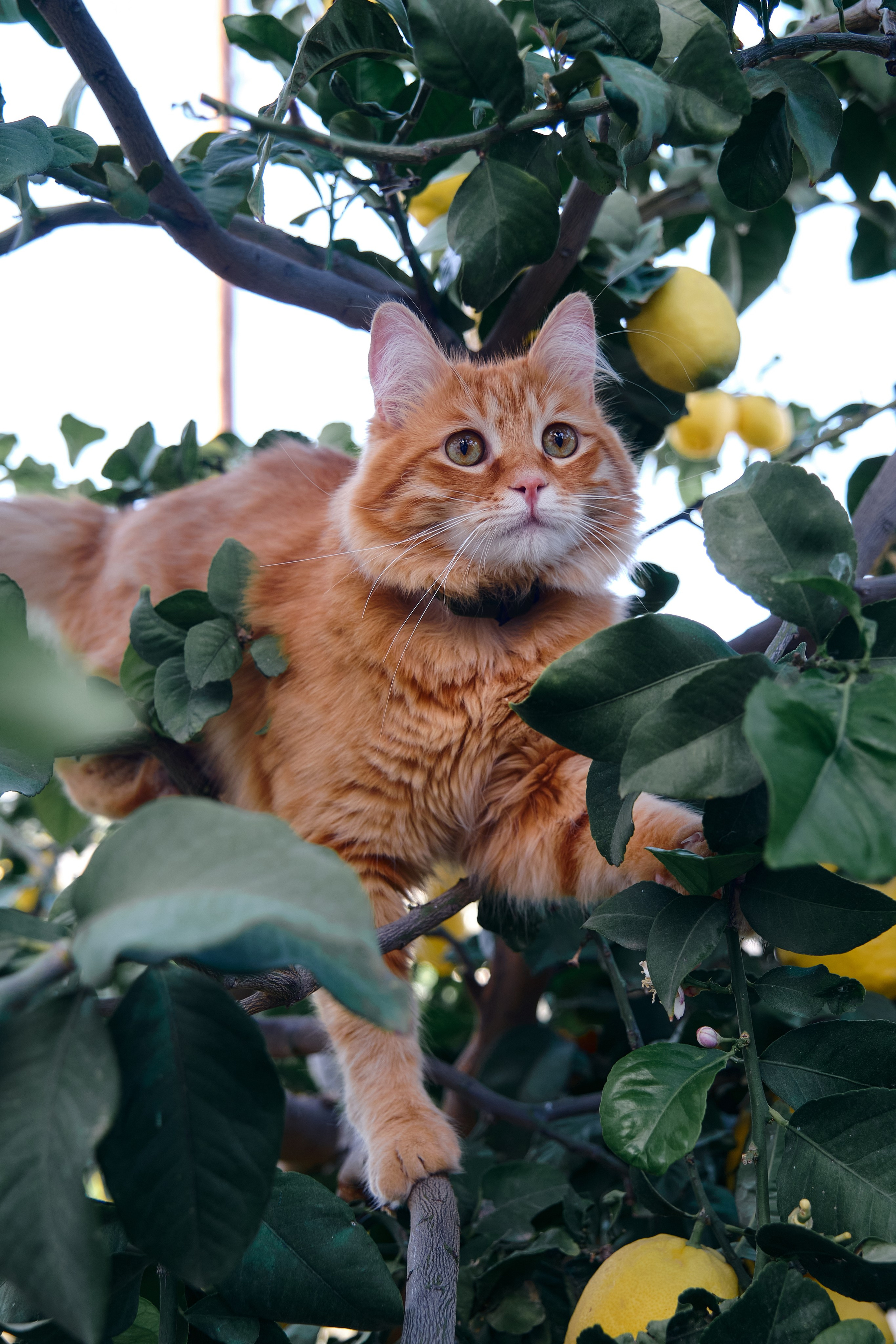 Сyprus > 2024 / april. Aleksandr Kobtsev