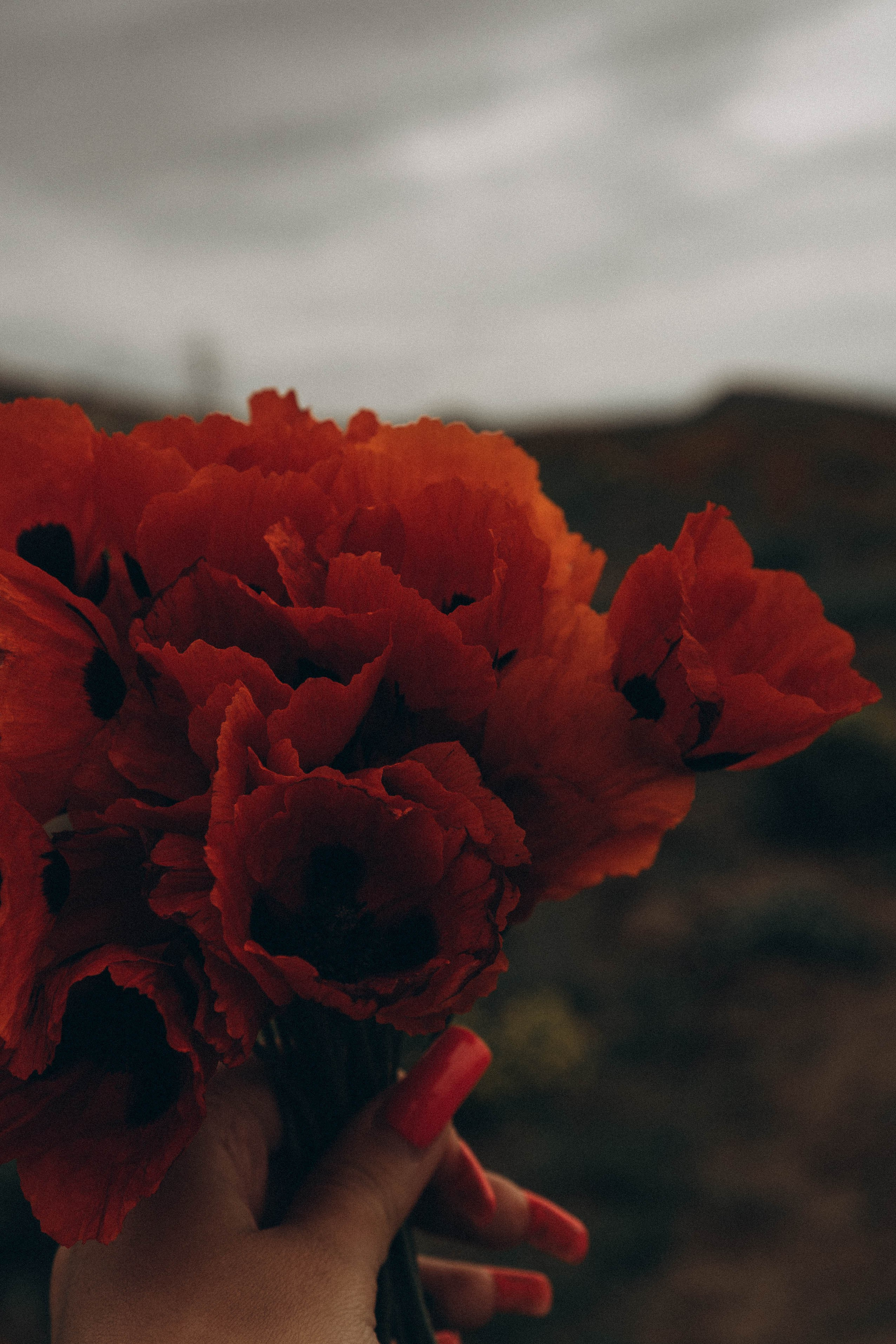 Кавказ. Профессиональный фотограф, Санкт-Петербург — Виктория Богомолова