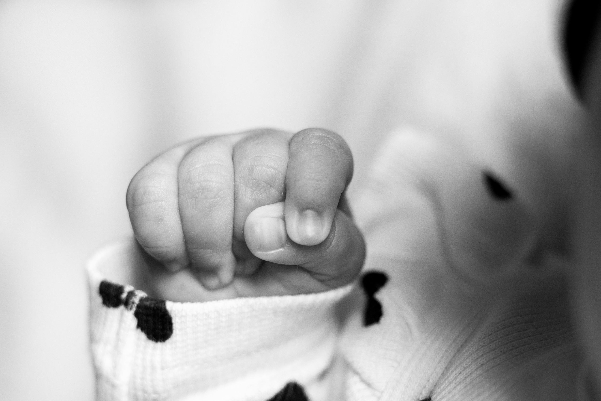 Пакет № 1 Базовый. Фотограф Москва Подольск МО