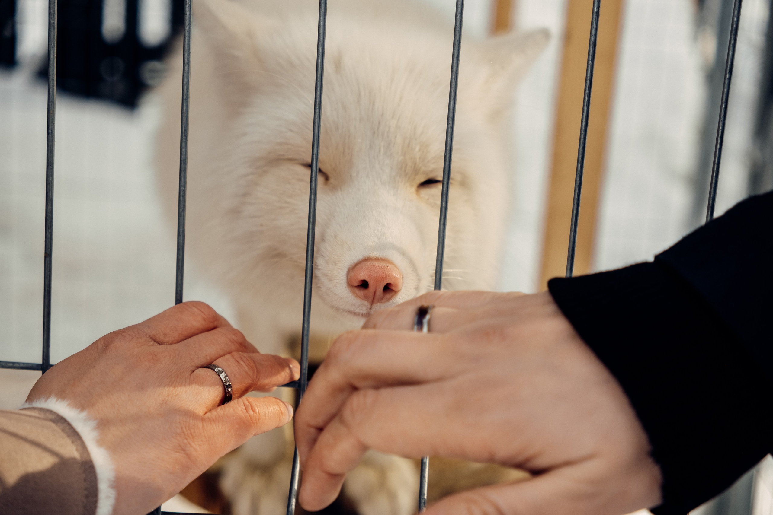 Свадьба в бохо стиле. Фотограф в Иркутске Анна Мирошникова