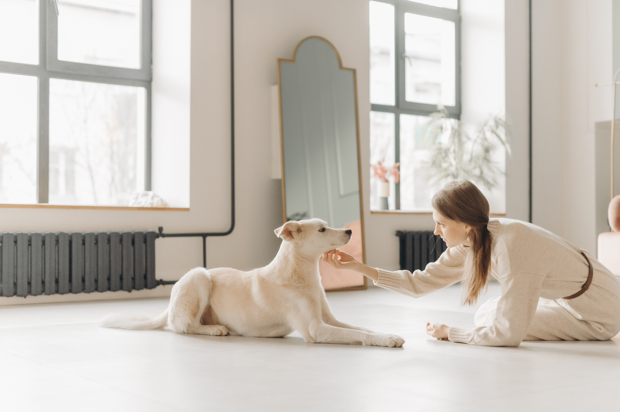 Анималистика. Главная