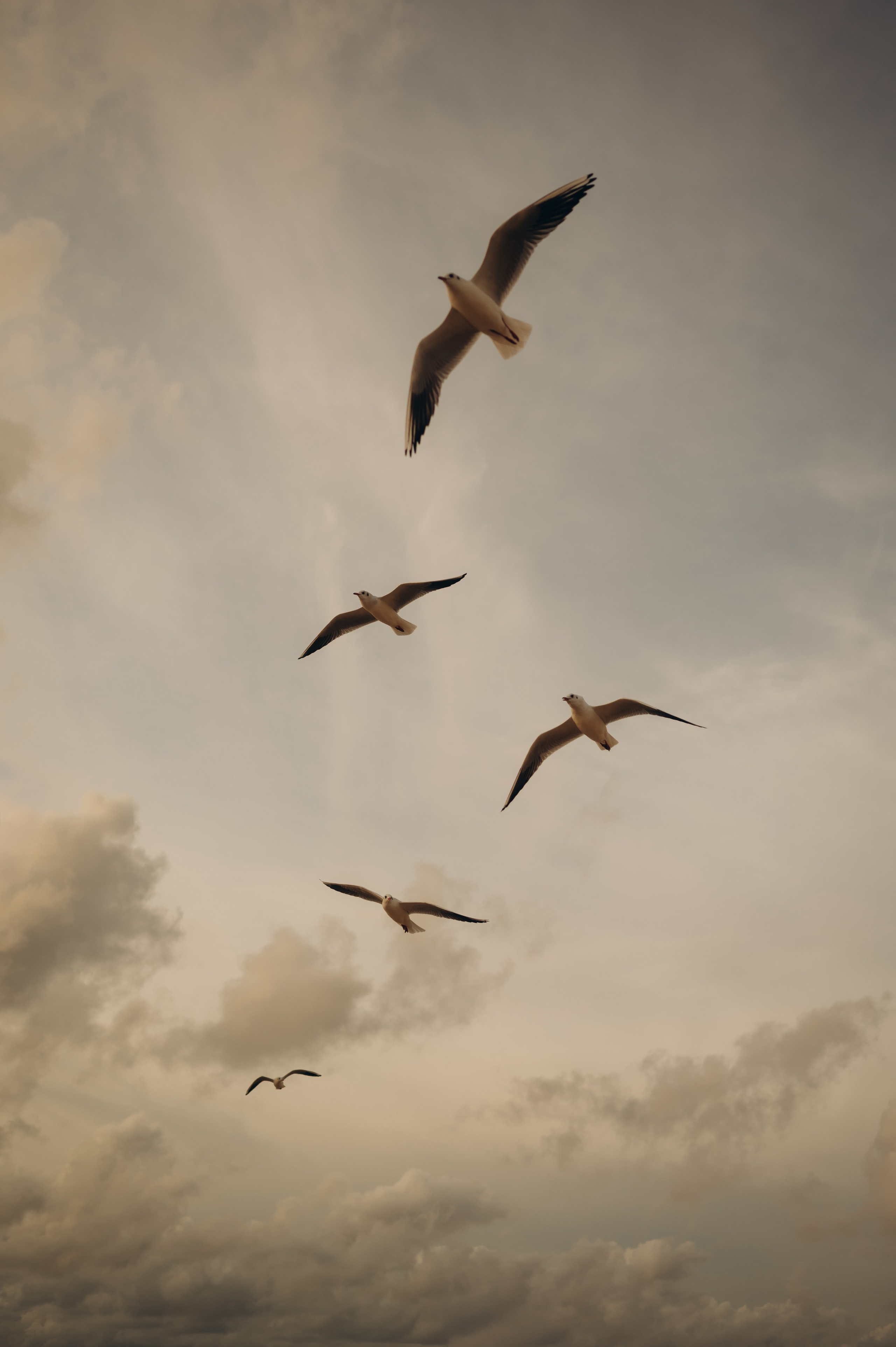 Life Style фотограф Кристина Шацкая. Краснодарский край