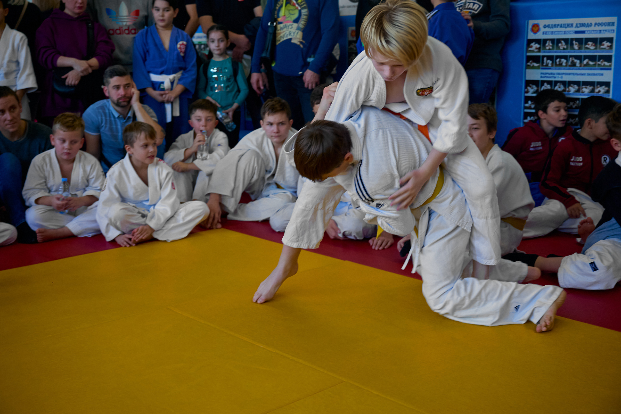 Соревнования по дзюдо Конструктор. Спортивный фитнес фотограф Алексей Нестеров