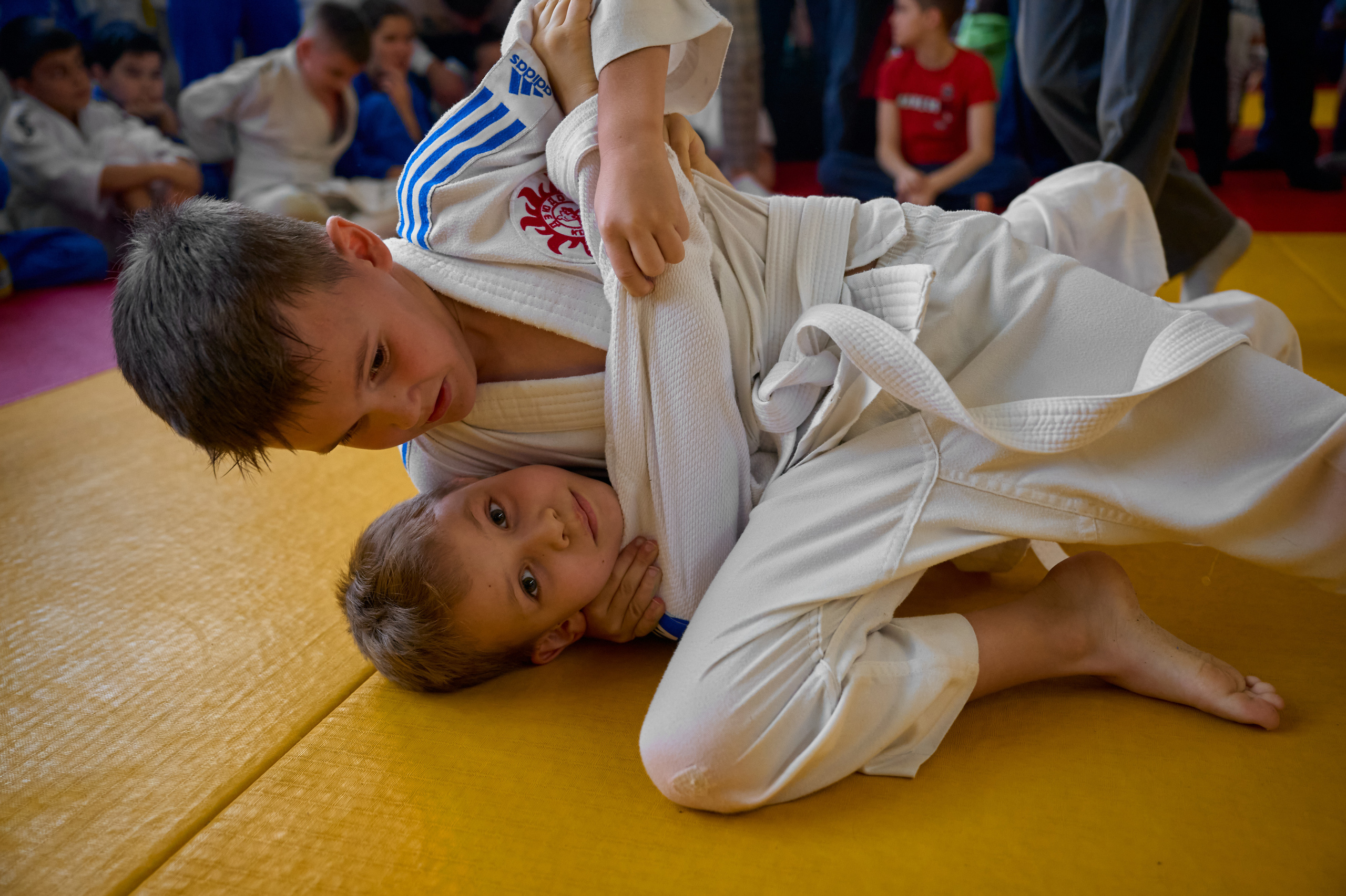 Соревнования по дзюдо Конструктор. Спортивный фитнес фотограф Алексей Нестеров