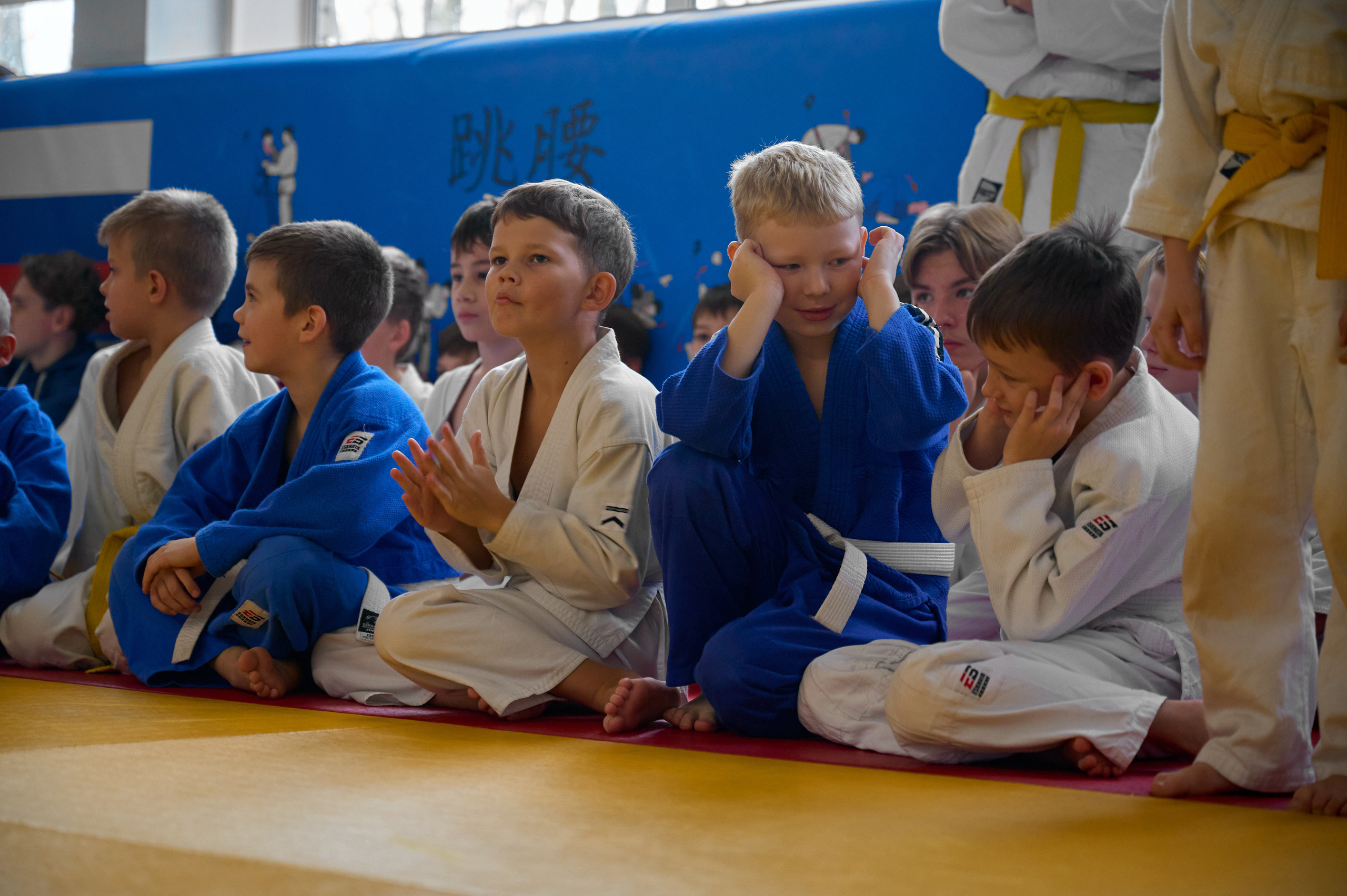 Соревнования по дзюдо Конструктор. Спортивный фитнес фотограф Алексей Нестеров