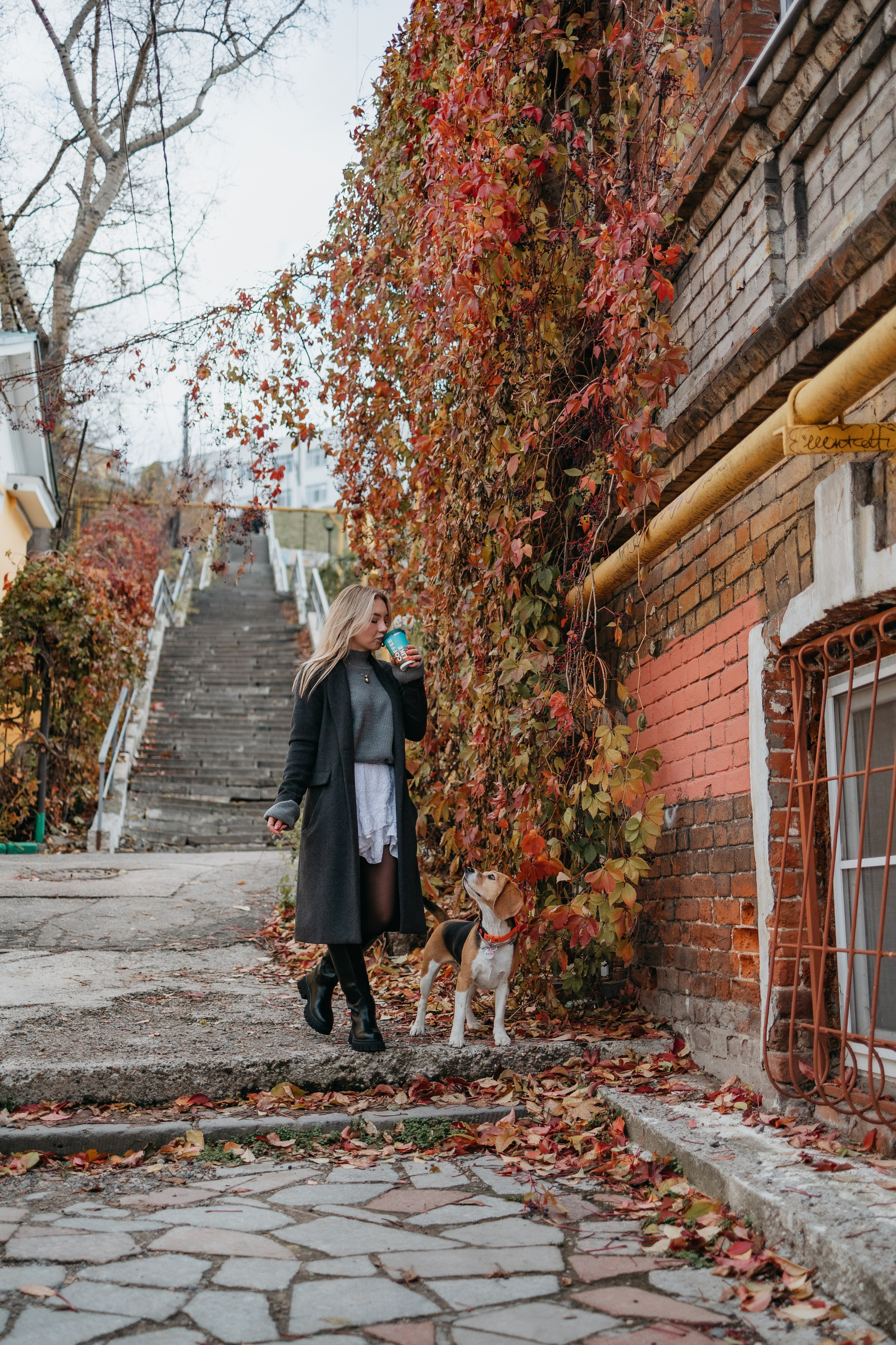 Аня и Моня. Фотограф — анималист Светлана Кысса|фотограф собак в Краснодаре и Нижнем Новгороде