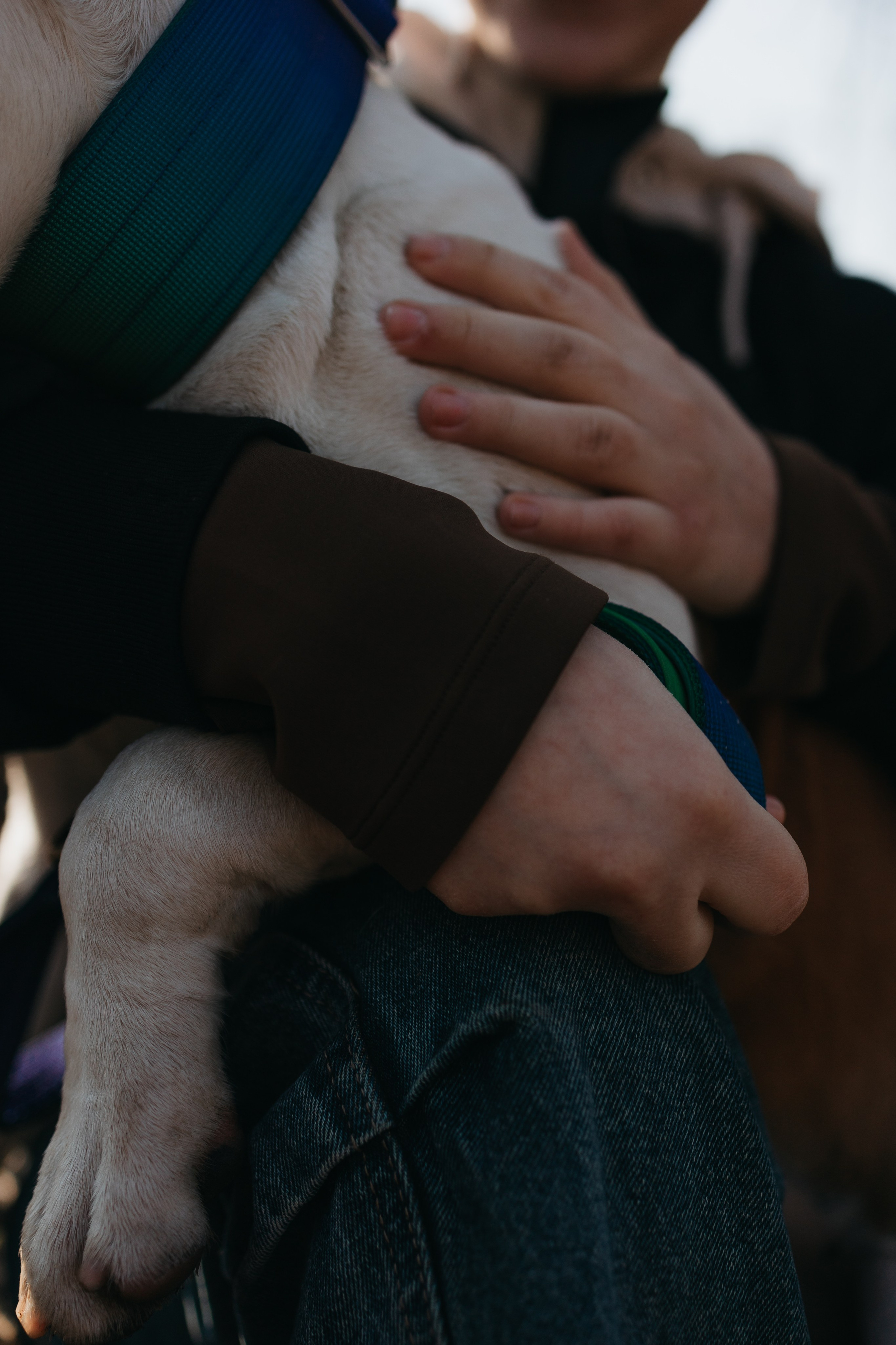 Лера, Ума и Винни. Фотограф — анималист Светлана Кысса|фотограф собак в Краснодаре и Нижнем Новгороде