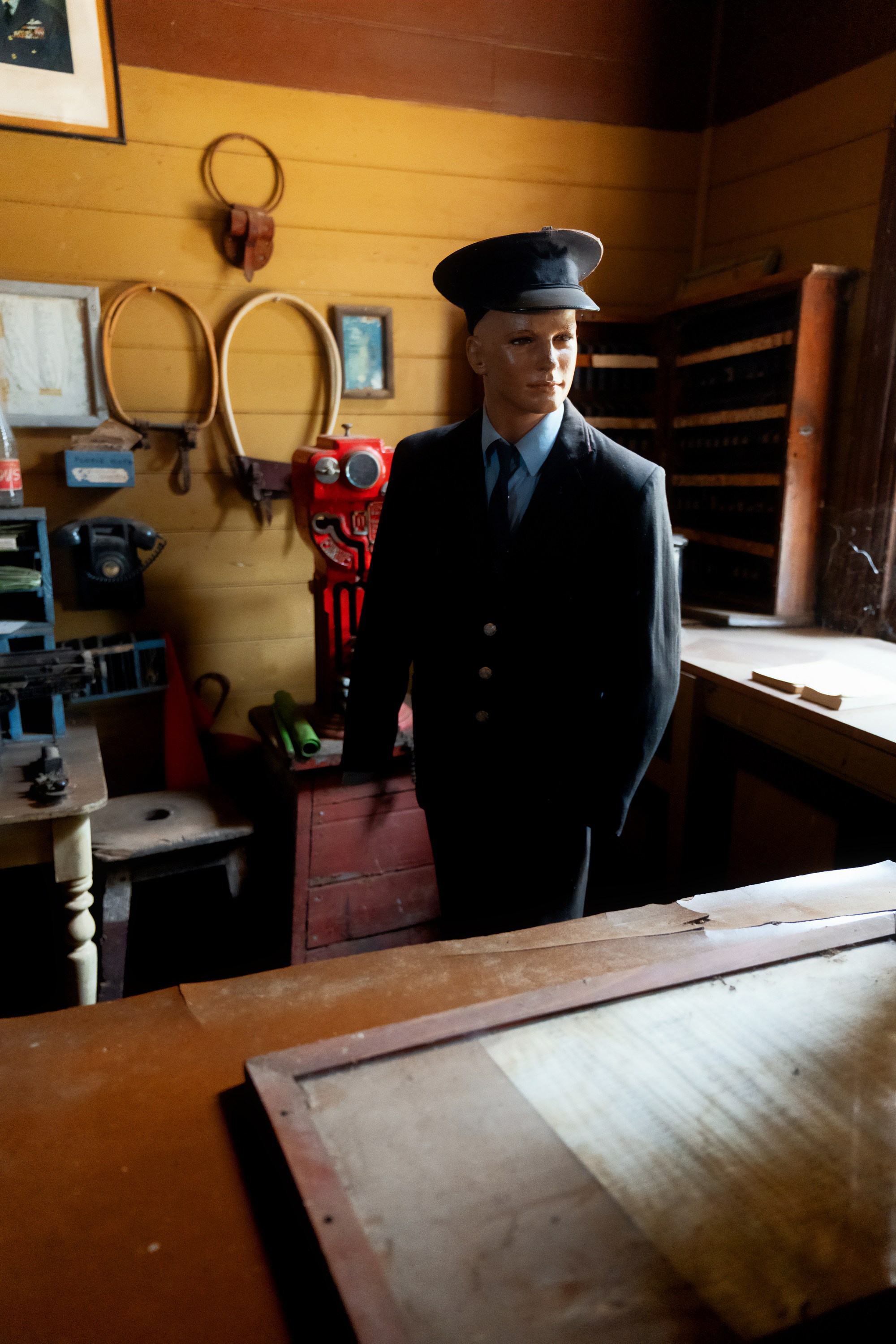 Австралия. Фотограф в Хабаровске. Фотография за 24 часа