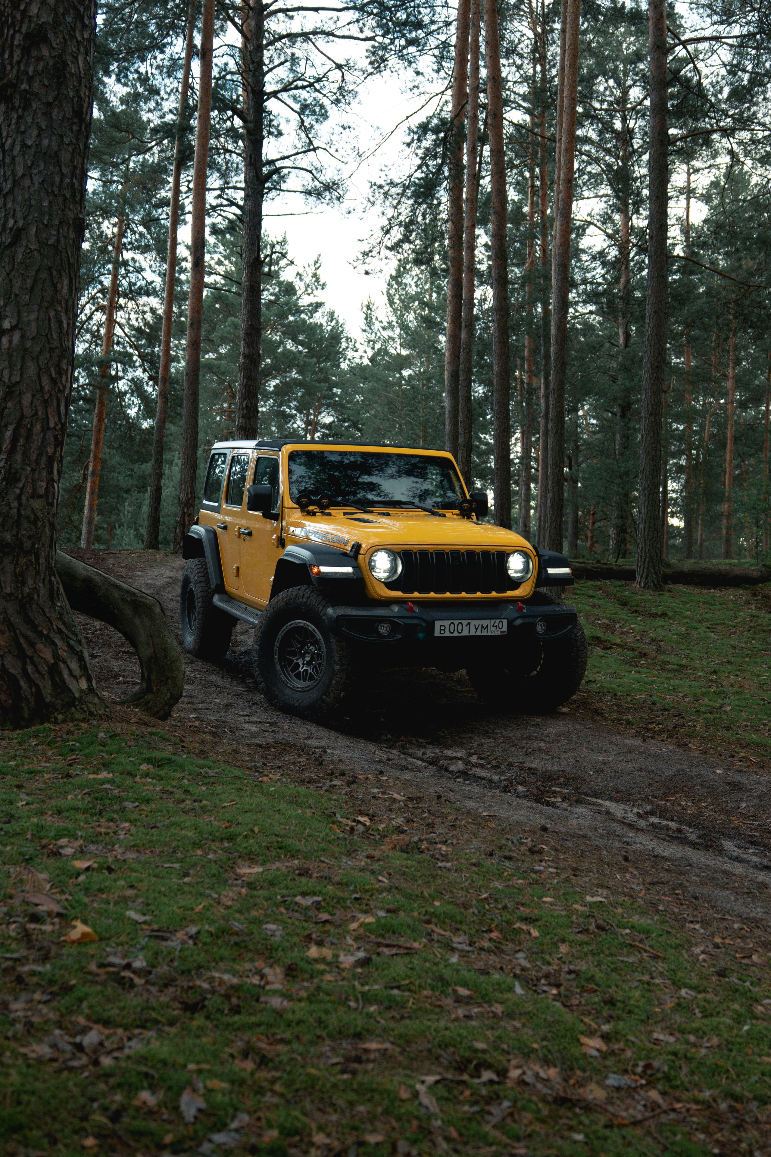 Фотографии Jeep Wrangler Rubicon