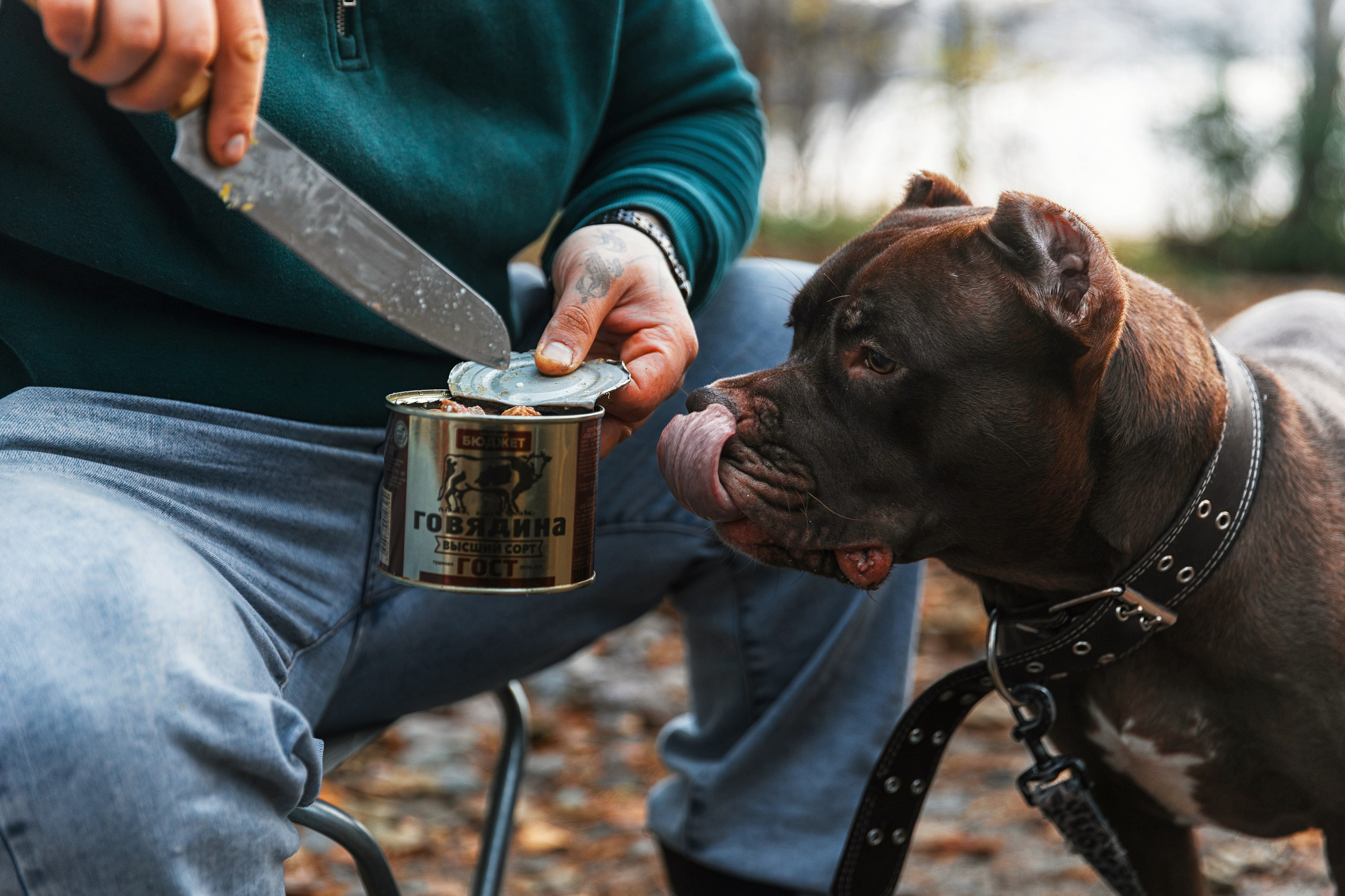 Рекламная фотосъемка автодомов в Санкт-Петербурге | Фотограф для бизнеса